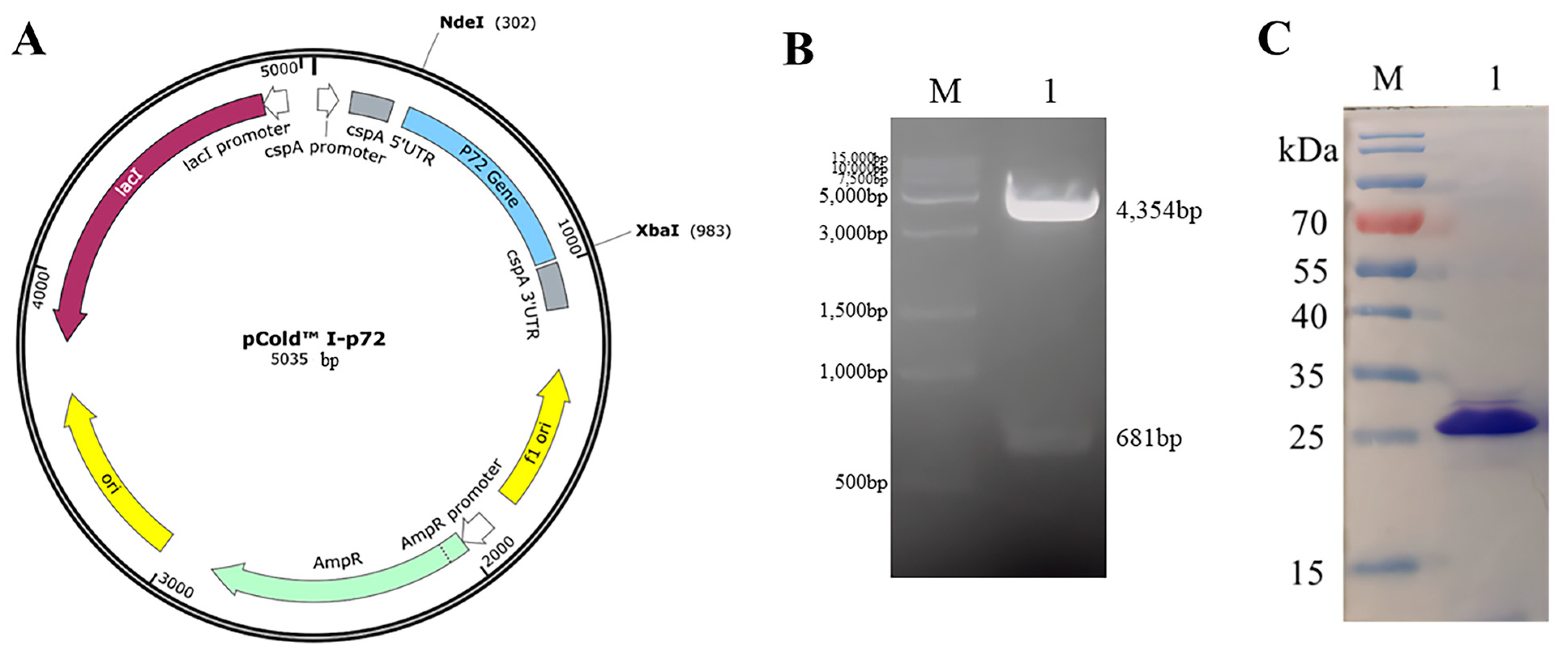 Microorganisms 11 02846 g002