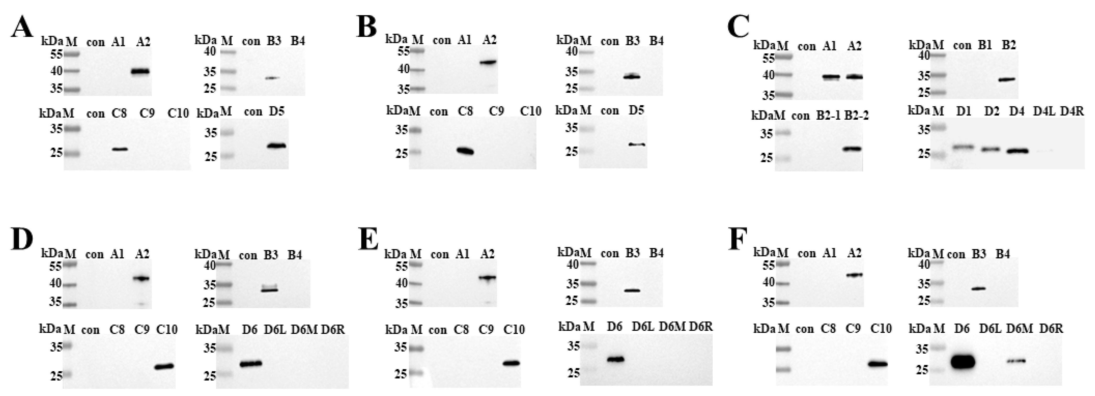 Microorganisms 11 02846 g004