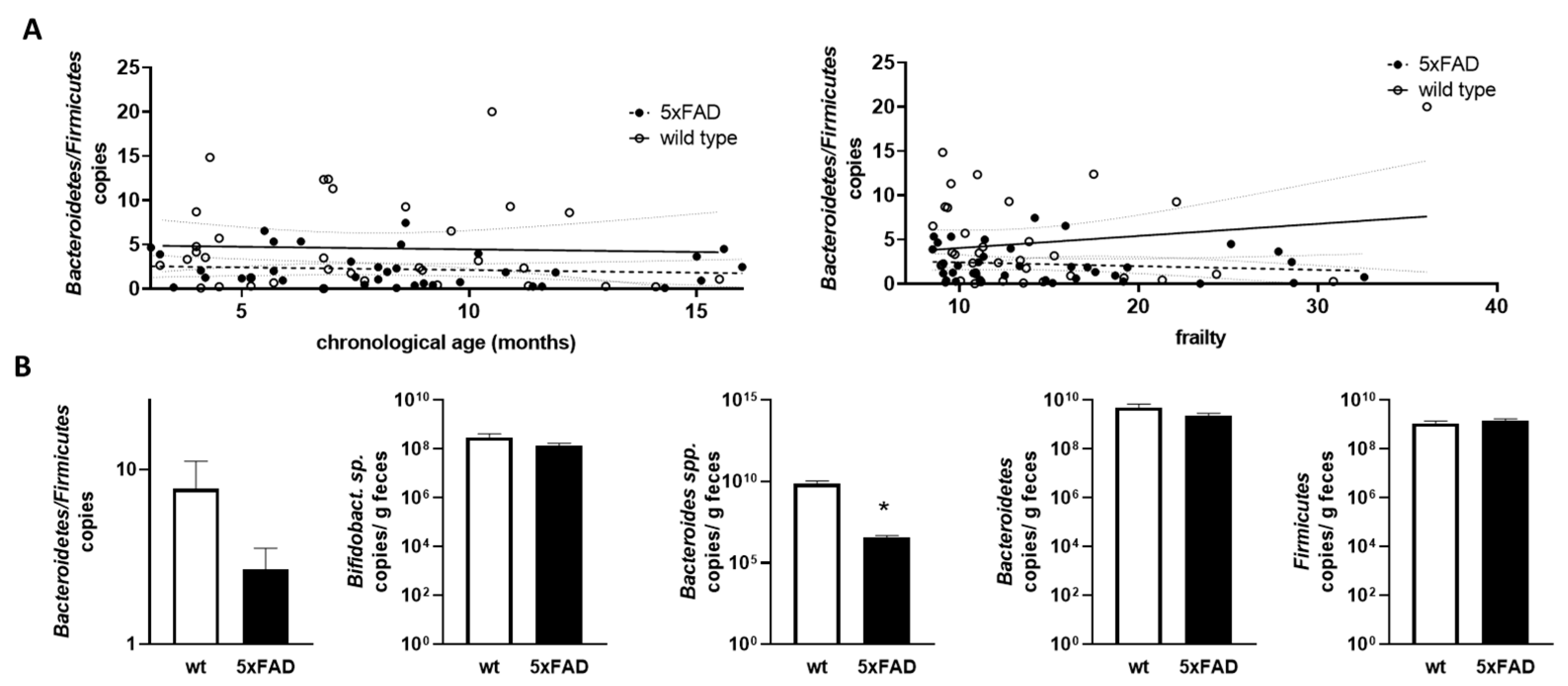 Correlation analysis of chronological age, scores in modified frailty