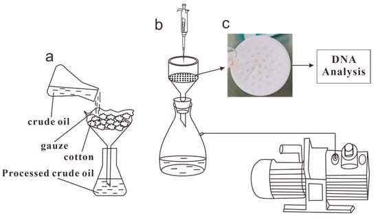 Full article: Prokaryotic Community Characterization in a Mesothermic and  Water- Flooded Oil Reservoir in Colombia