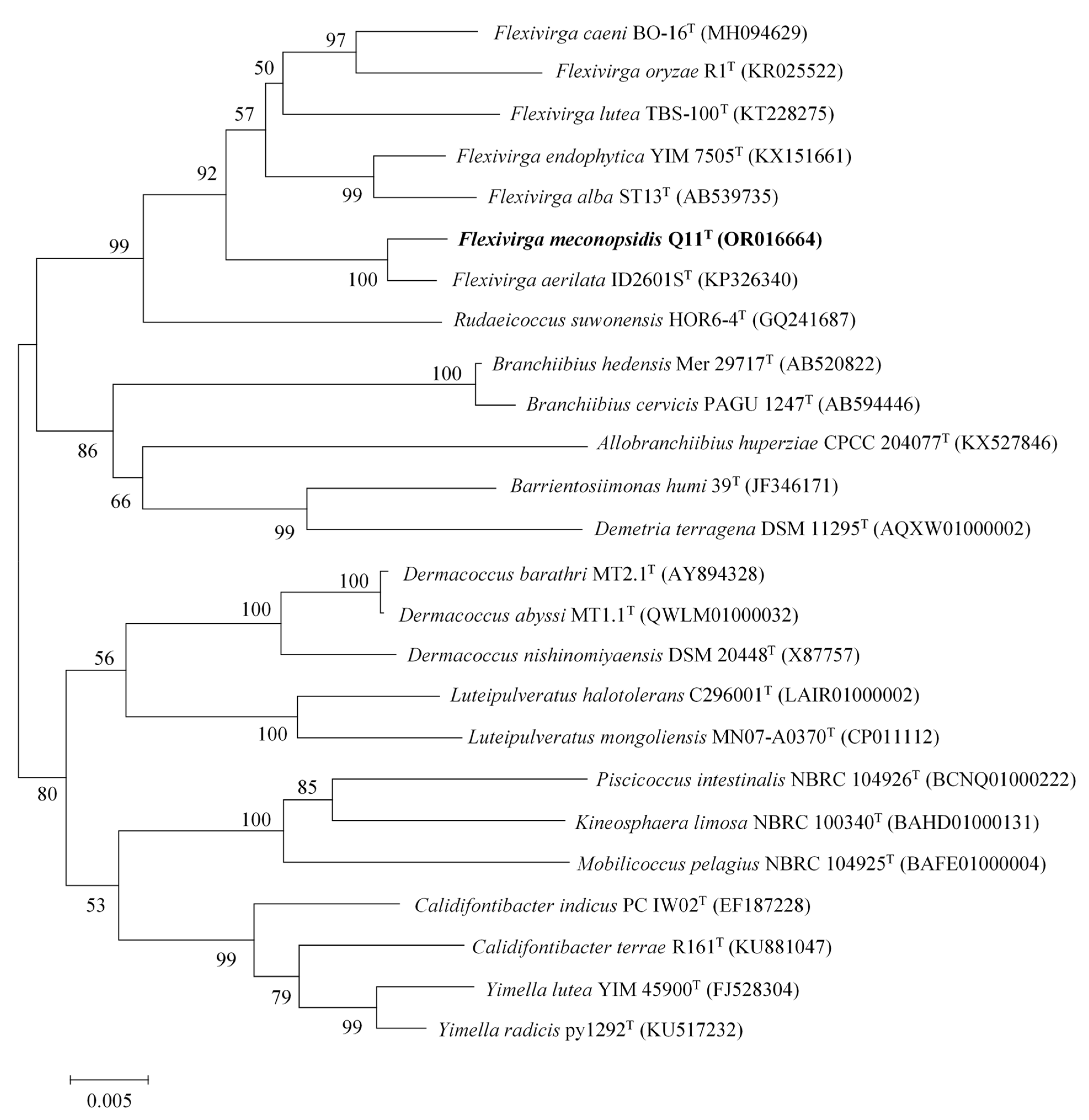 Microorganisms 11 02899 g001