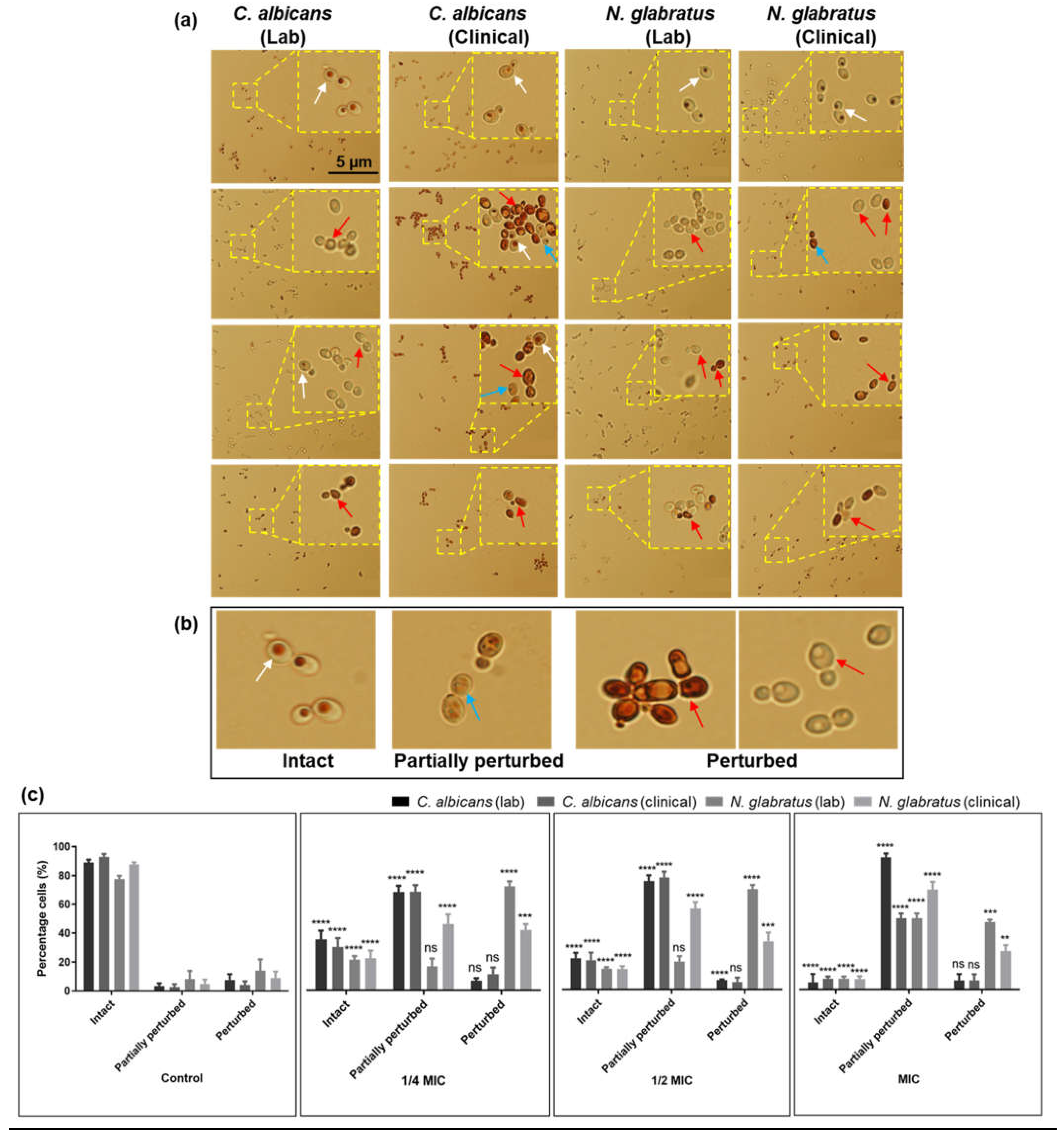 Microorganisms 11 02915 g002