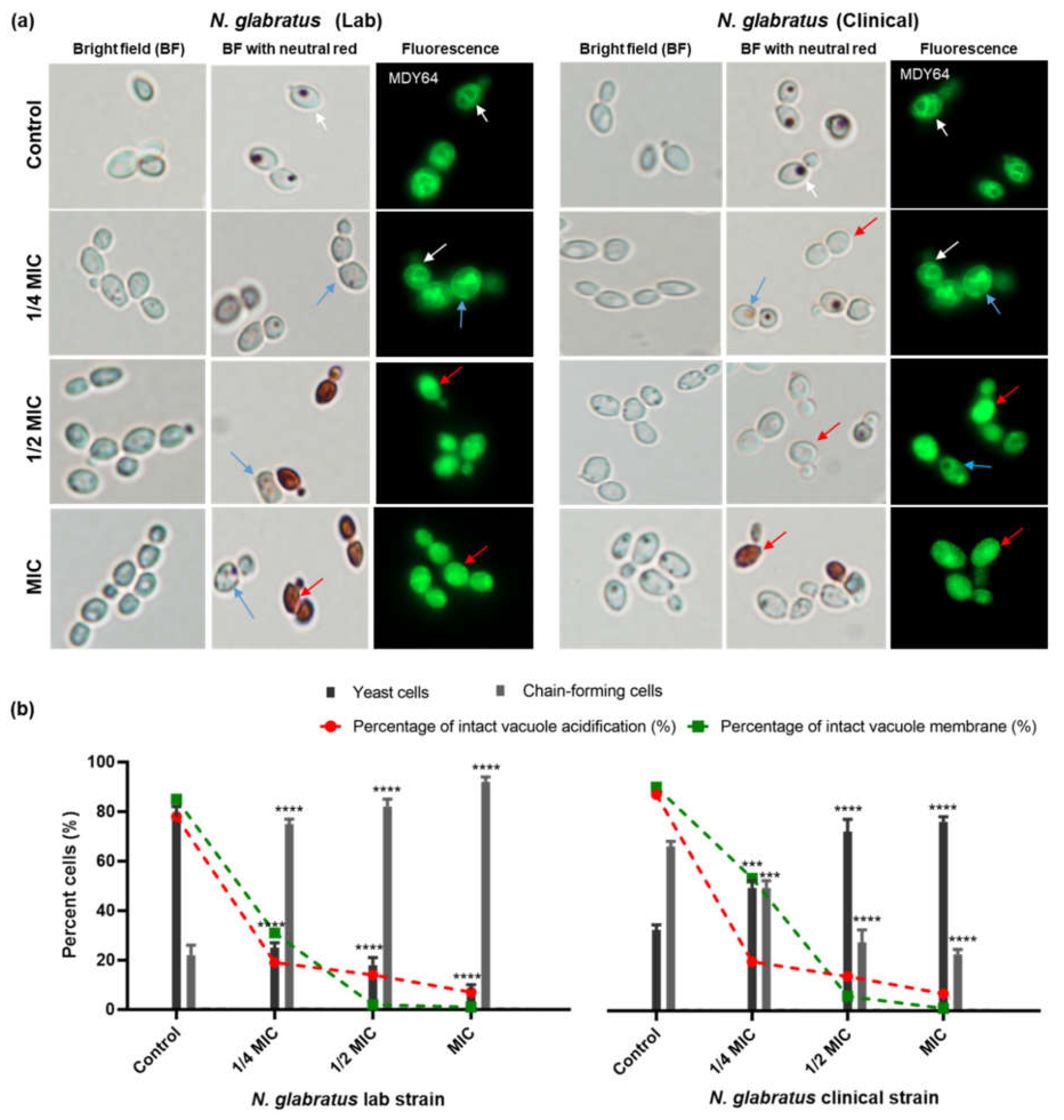 Microorganisms 11 02915 g005