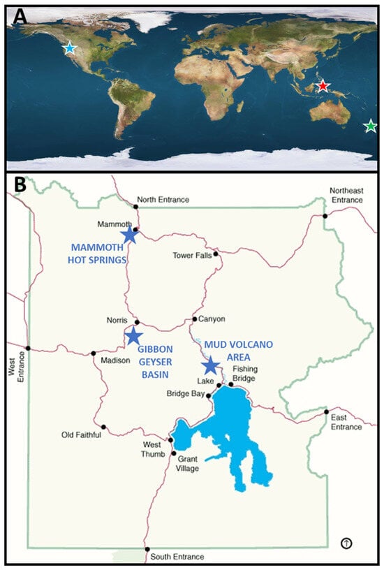 Green Star  Encyclopedia MDPI