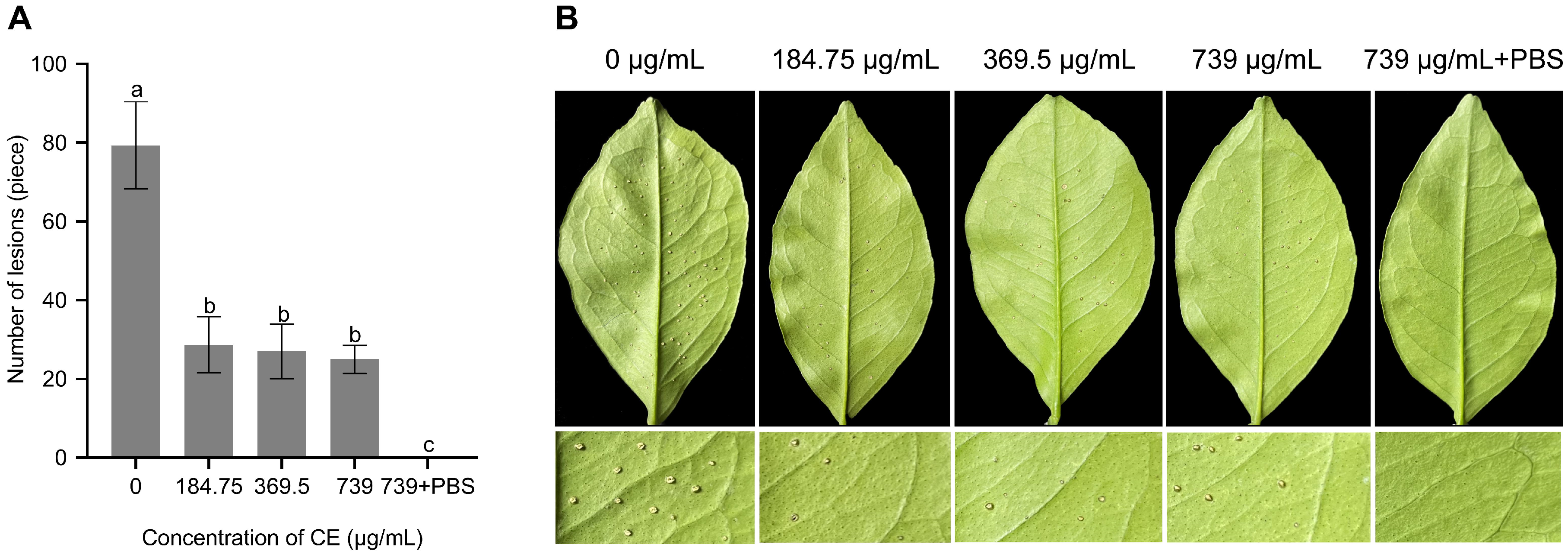 Microorganisms 11 02928 g006