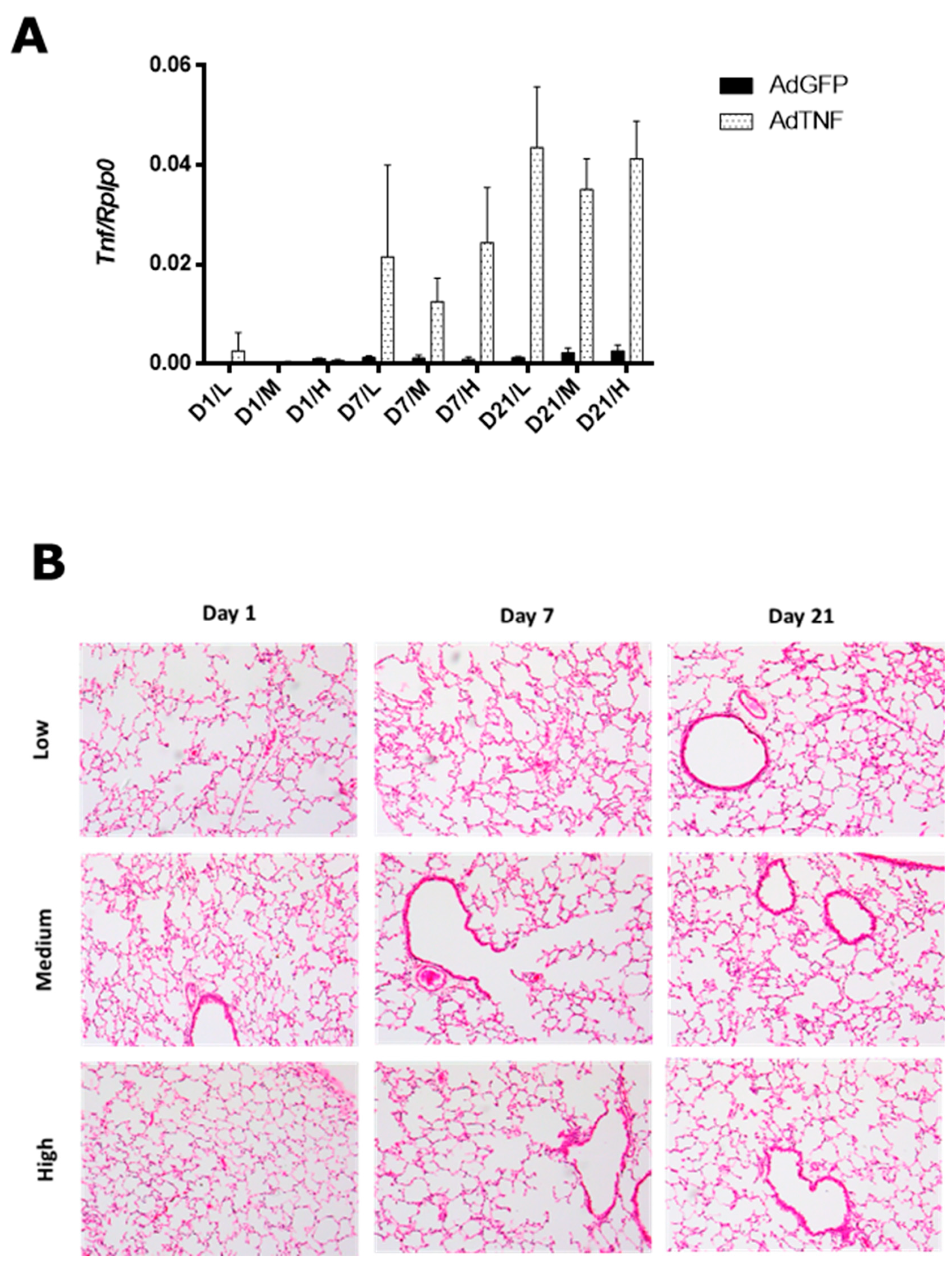 Microorganisms 11 02934 g001