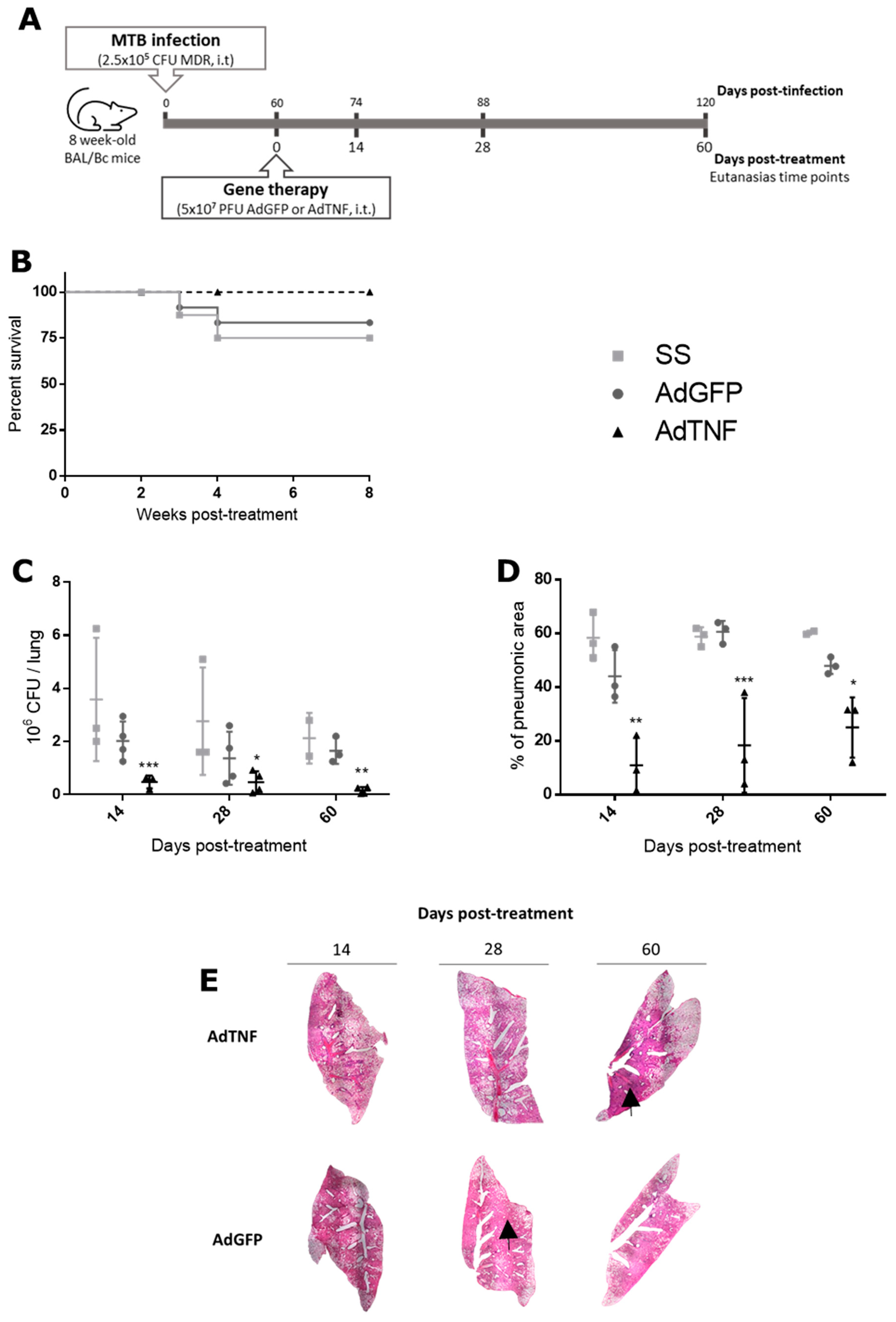 Microorganisms 11 02934 g002