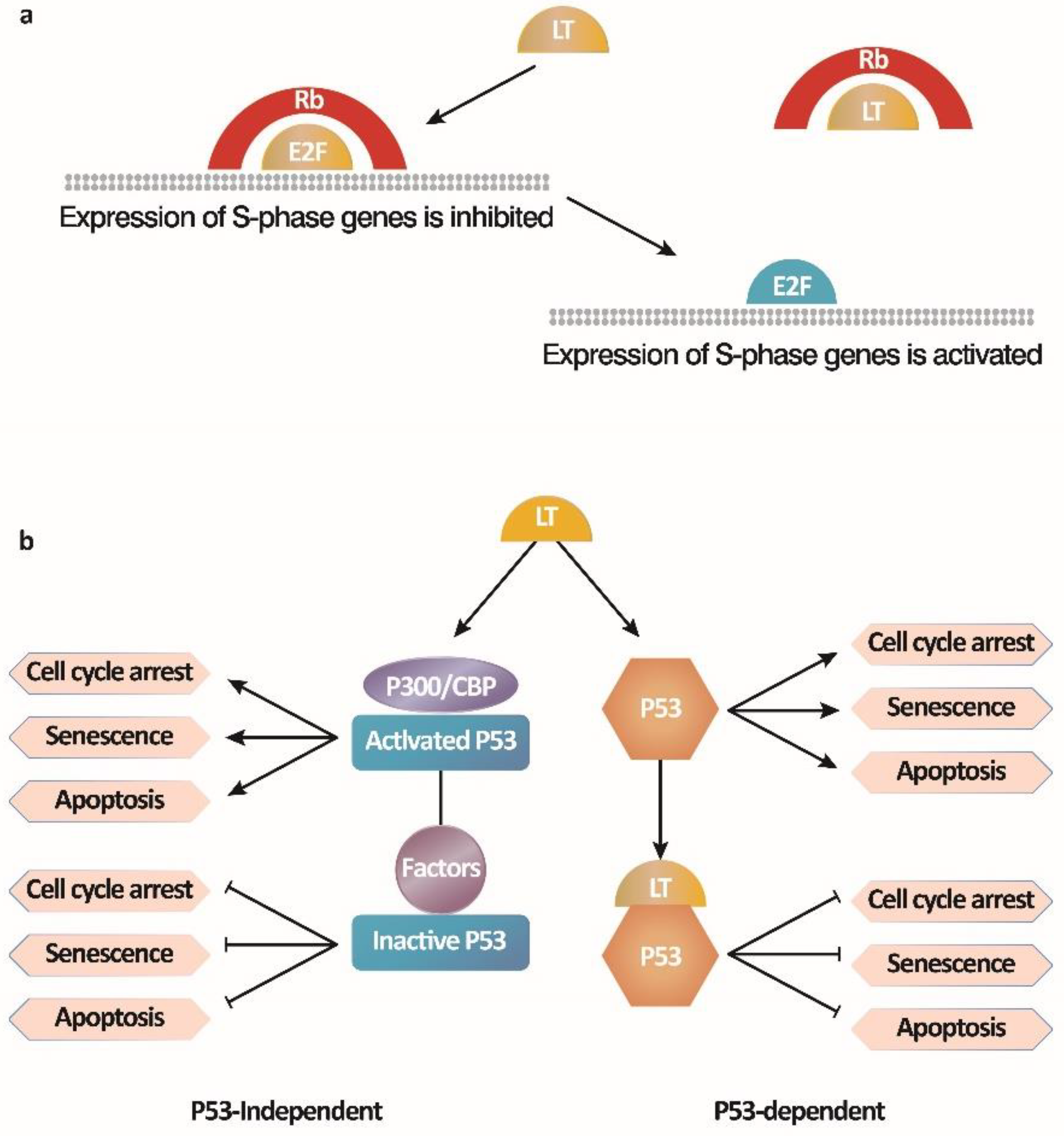 Microorganisms 11 02936 g002
