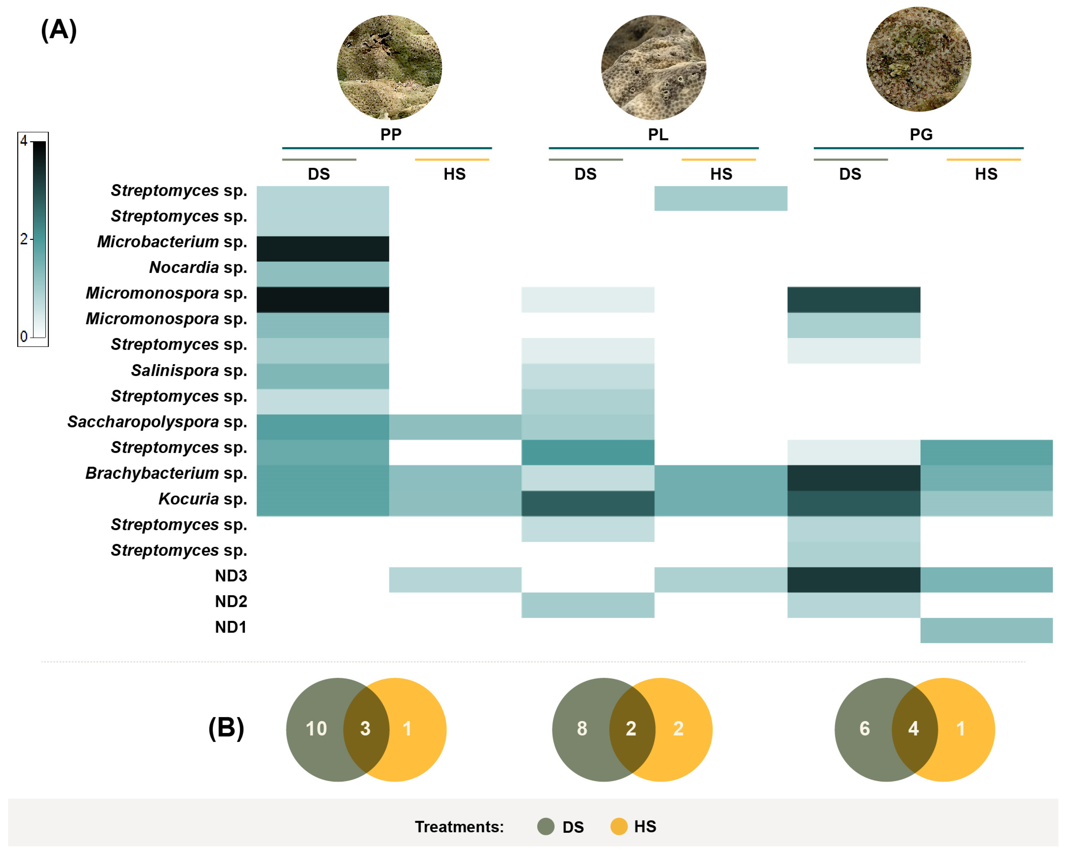 Microorganisms 11 02951 g004