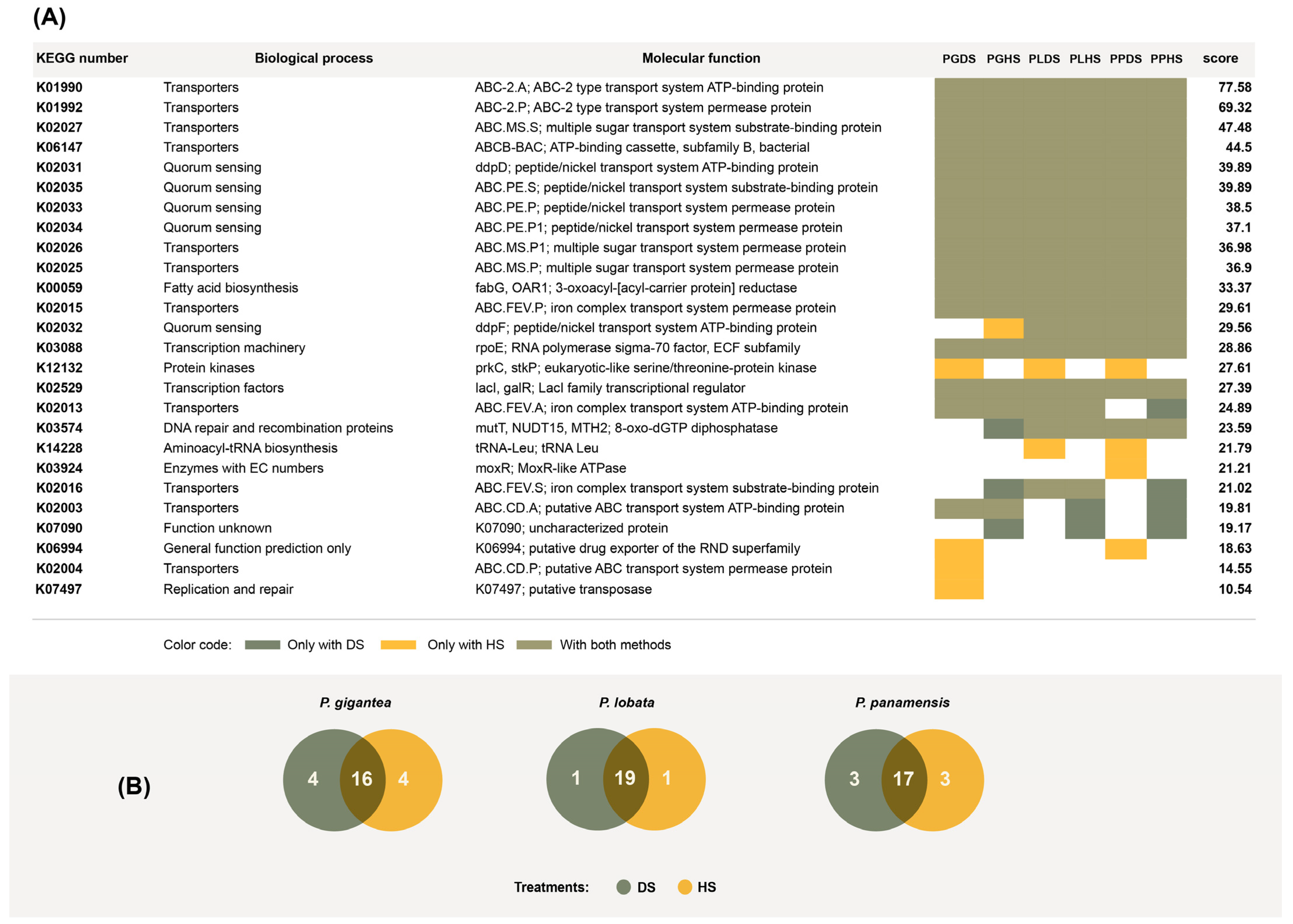 Microorganisms 11 02951 g006