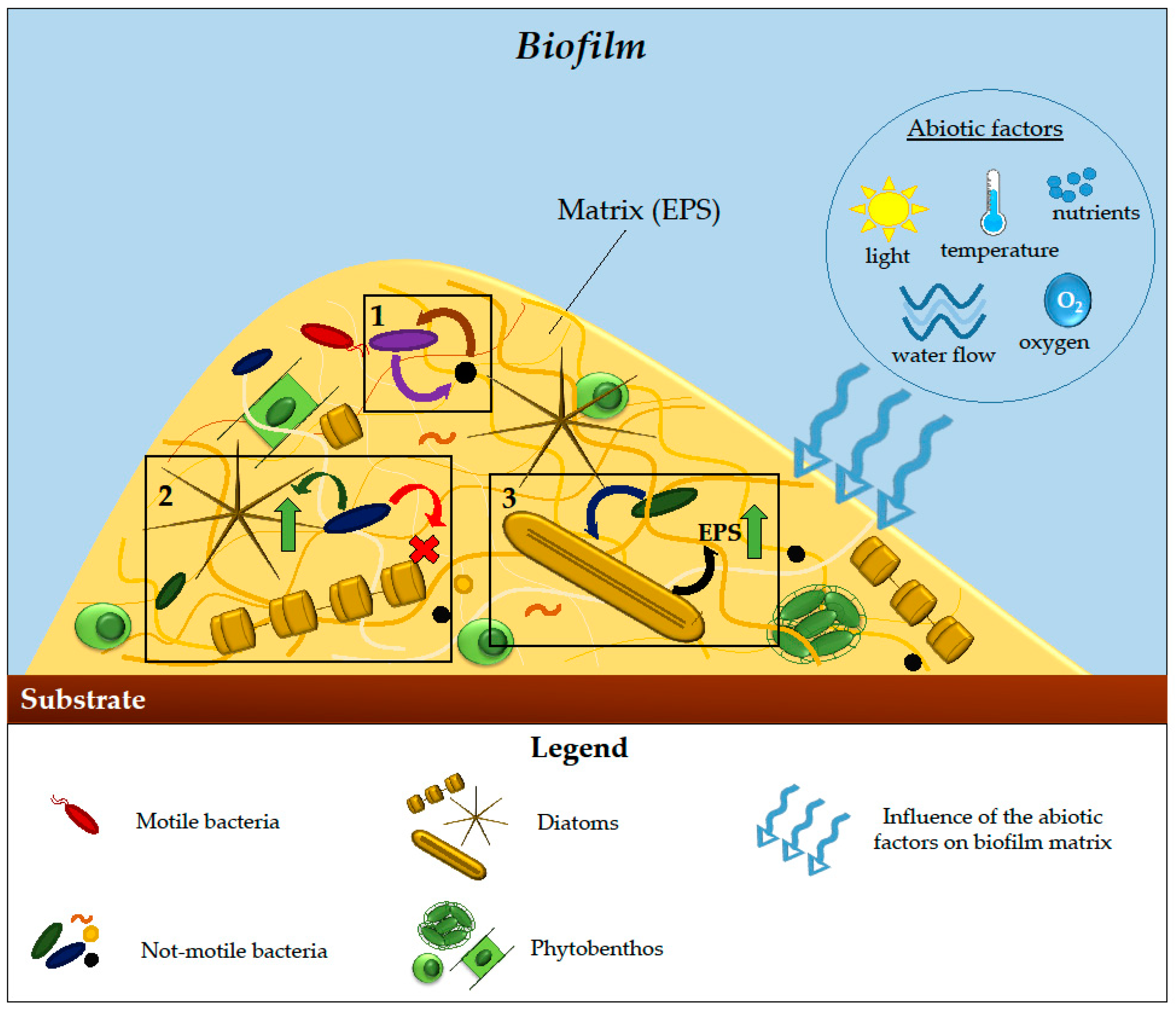 Microorganisms 11 02967 g003