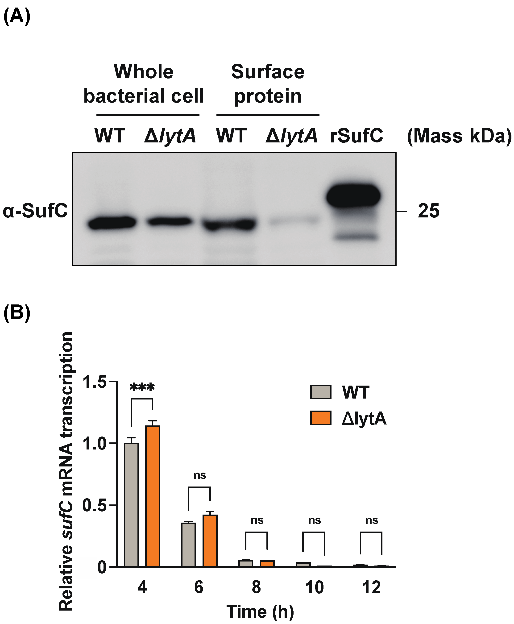 Microorganisms 11 02969 g005