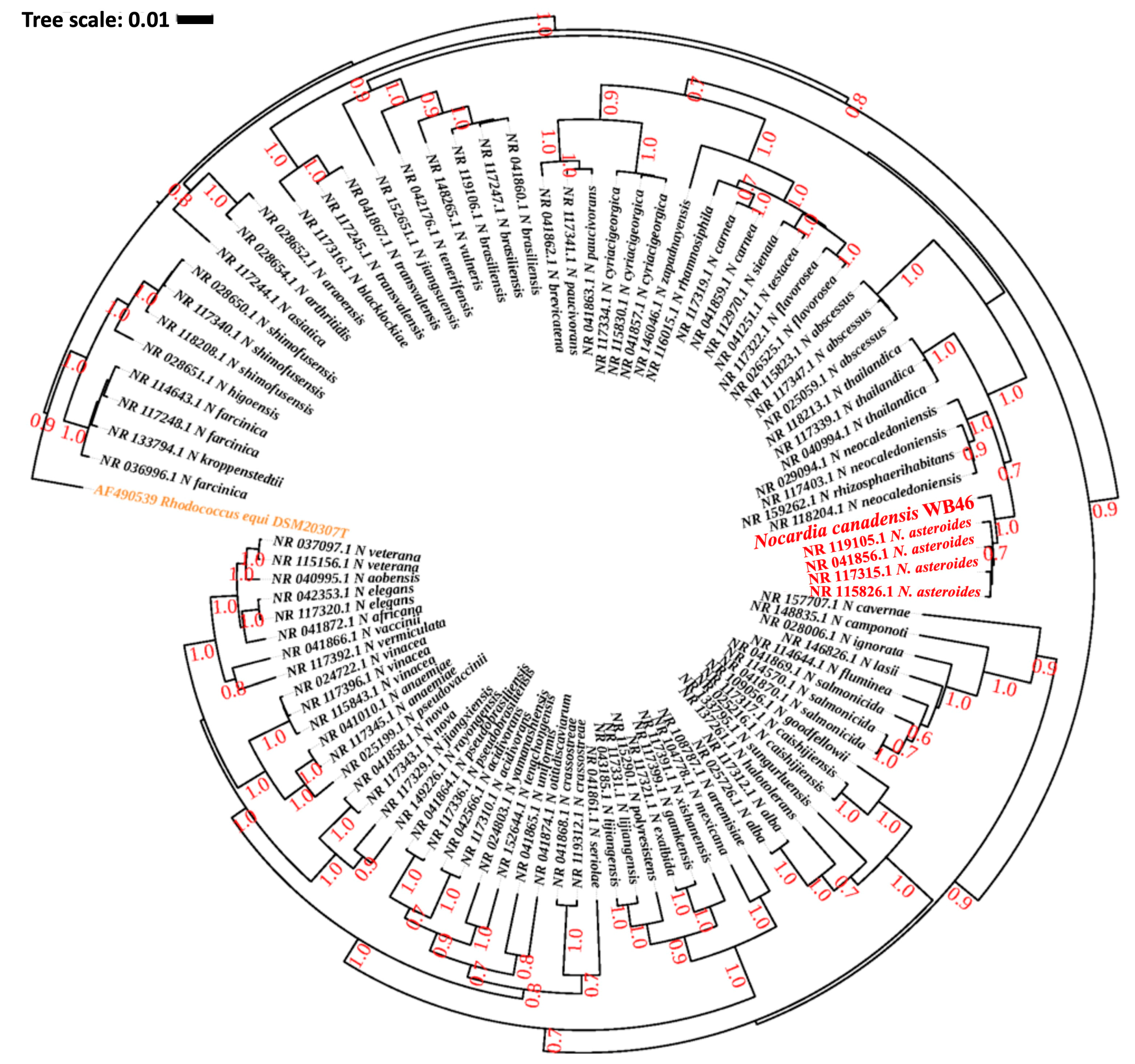 Microorganisms 11 02972 g002