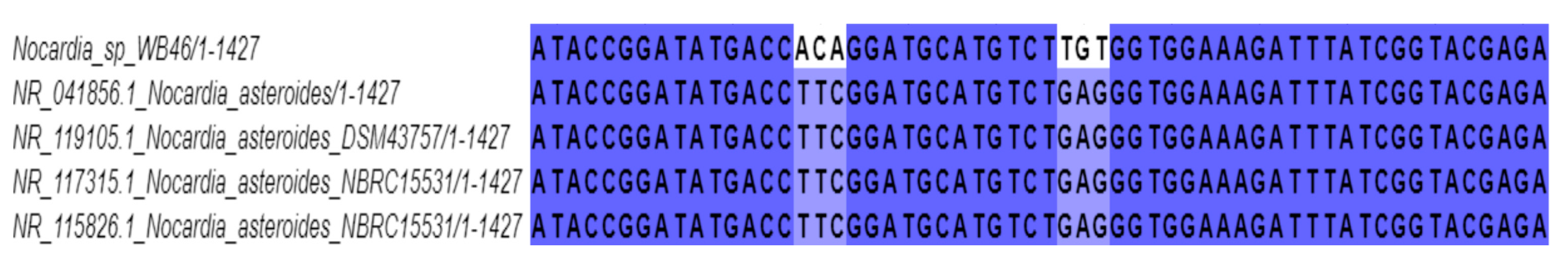 Microorganisms 11 02972 g003