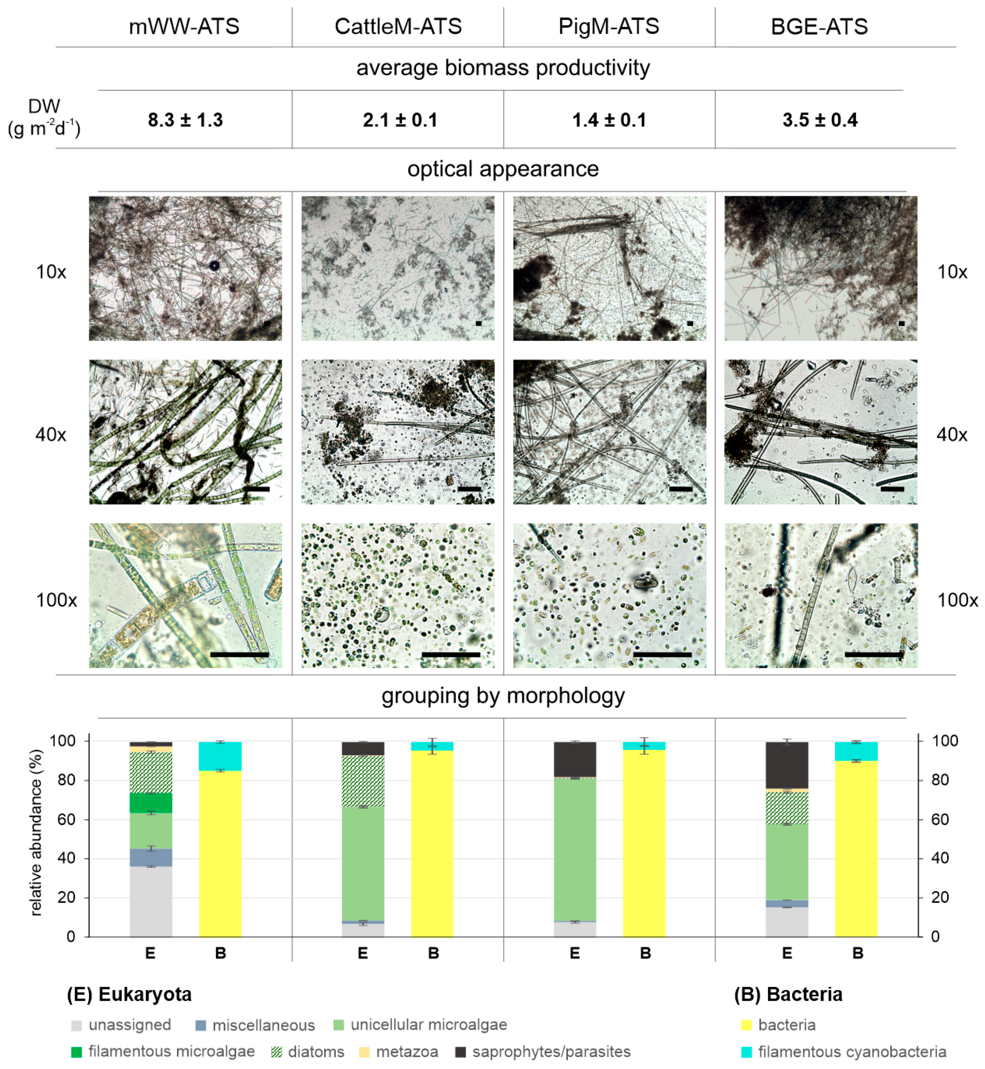 Microorganisms 11 02994 g006