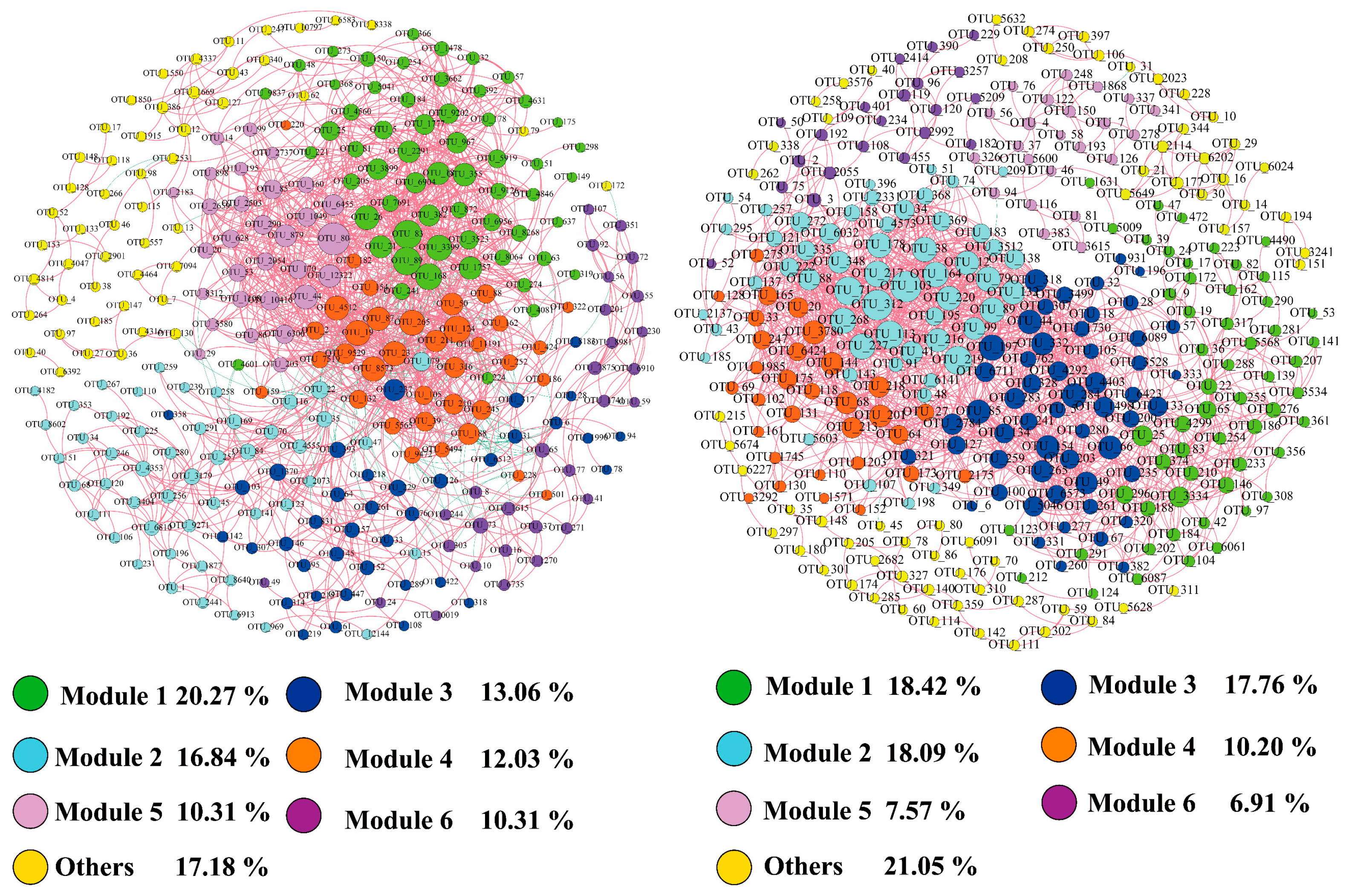 Microorganisms 12 00032 g009