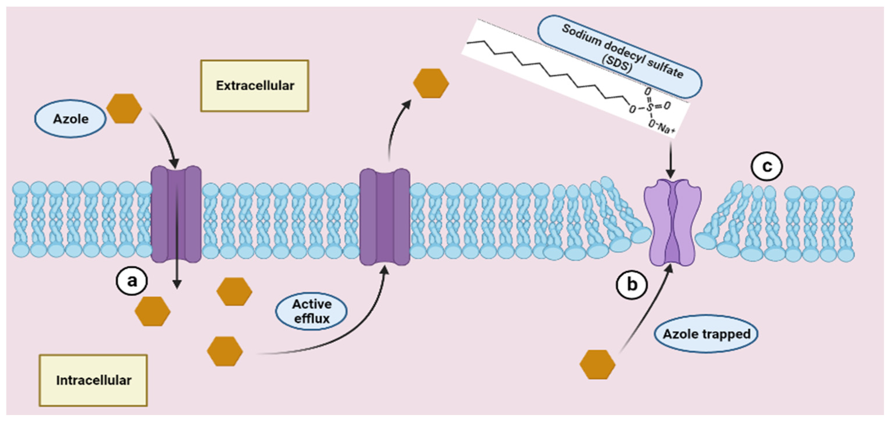 Microorganisms 12 00051 g007 Microorganisms 12 00051 g007