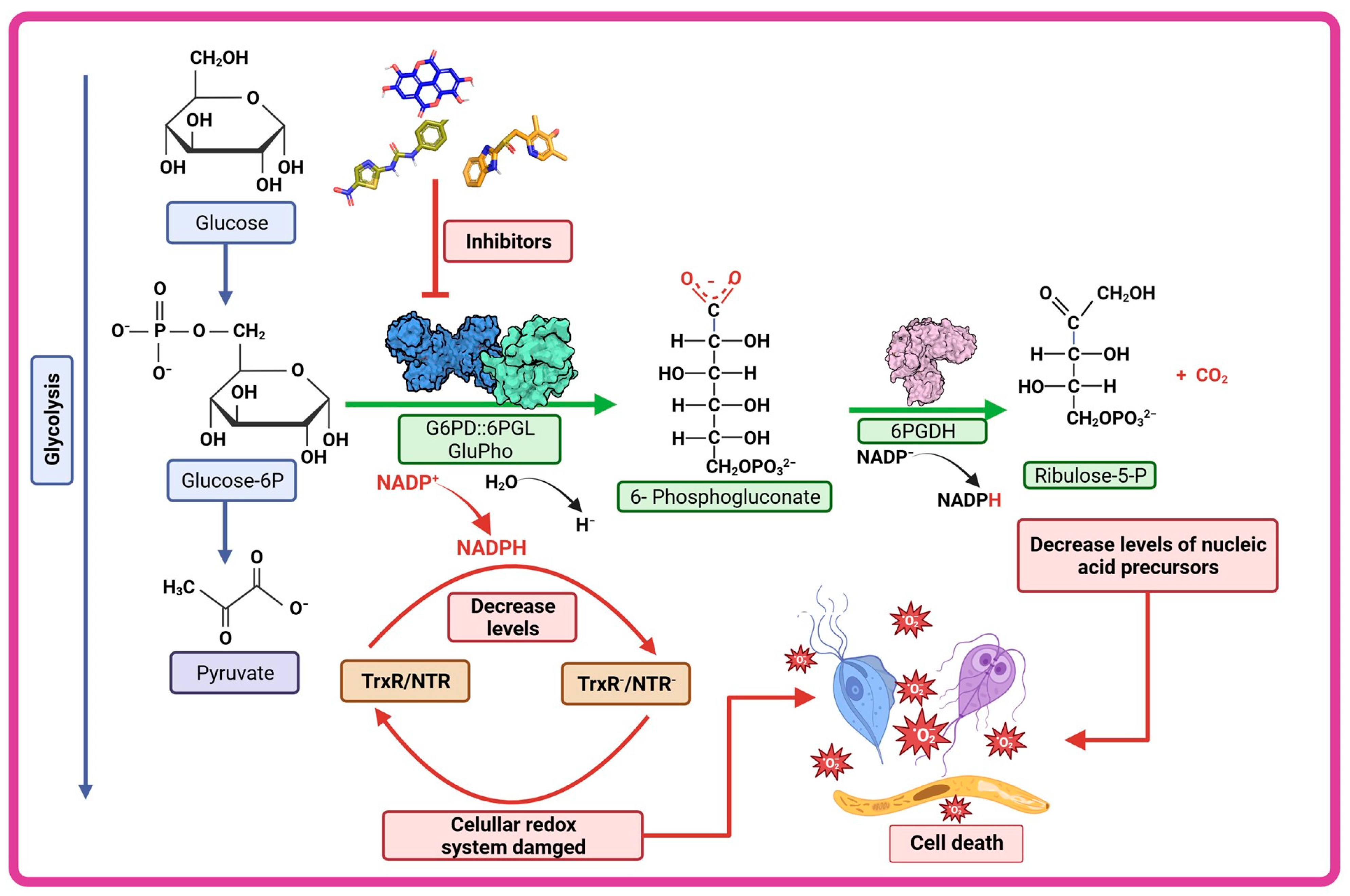 Microorganisms 12 00112 g006