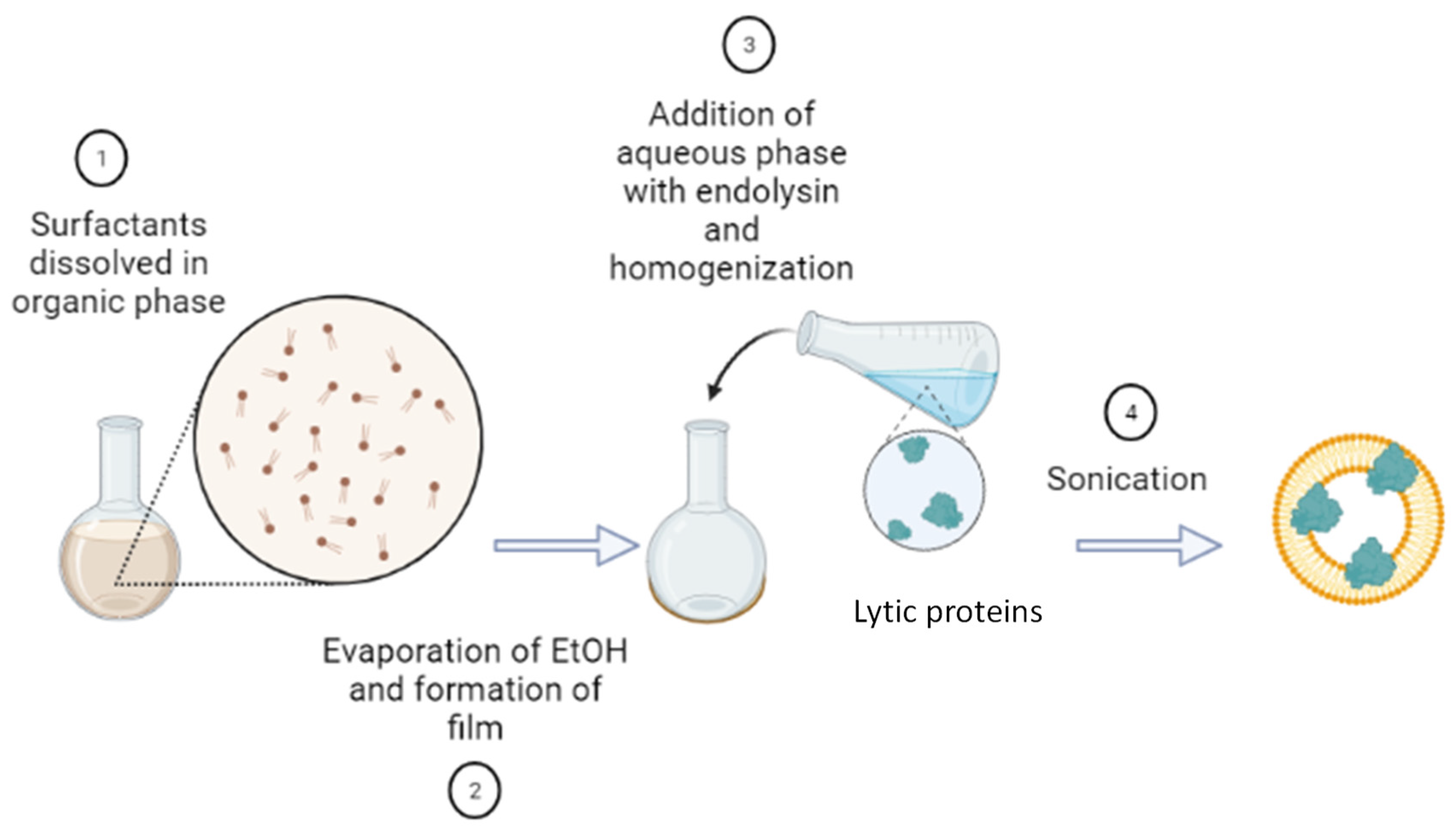 Microorganisms 12 00119 g001