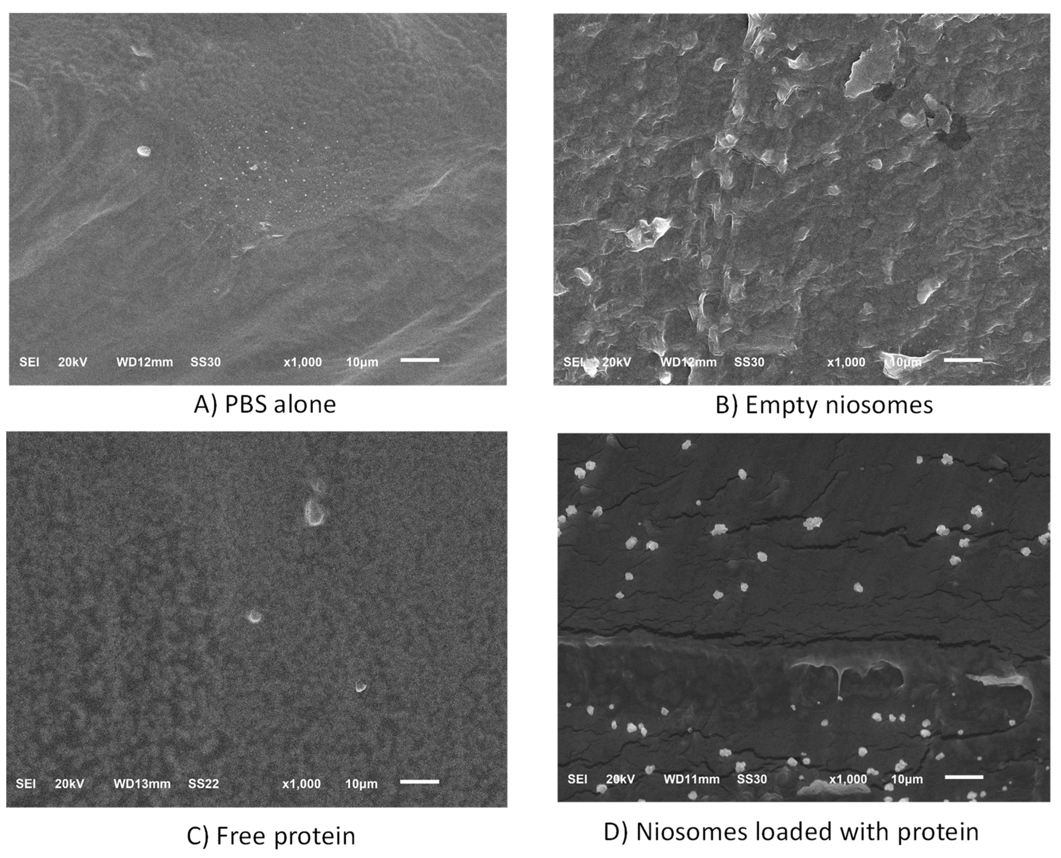 Microorganisms 12 00119 g007
