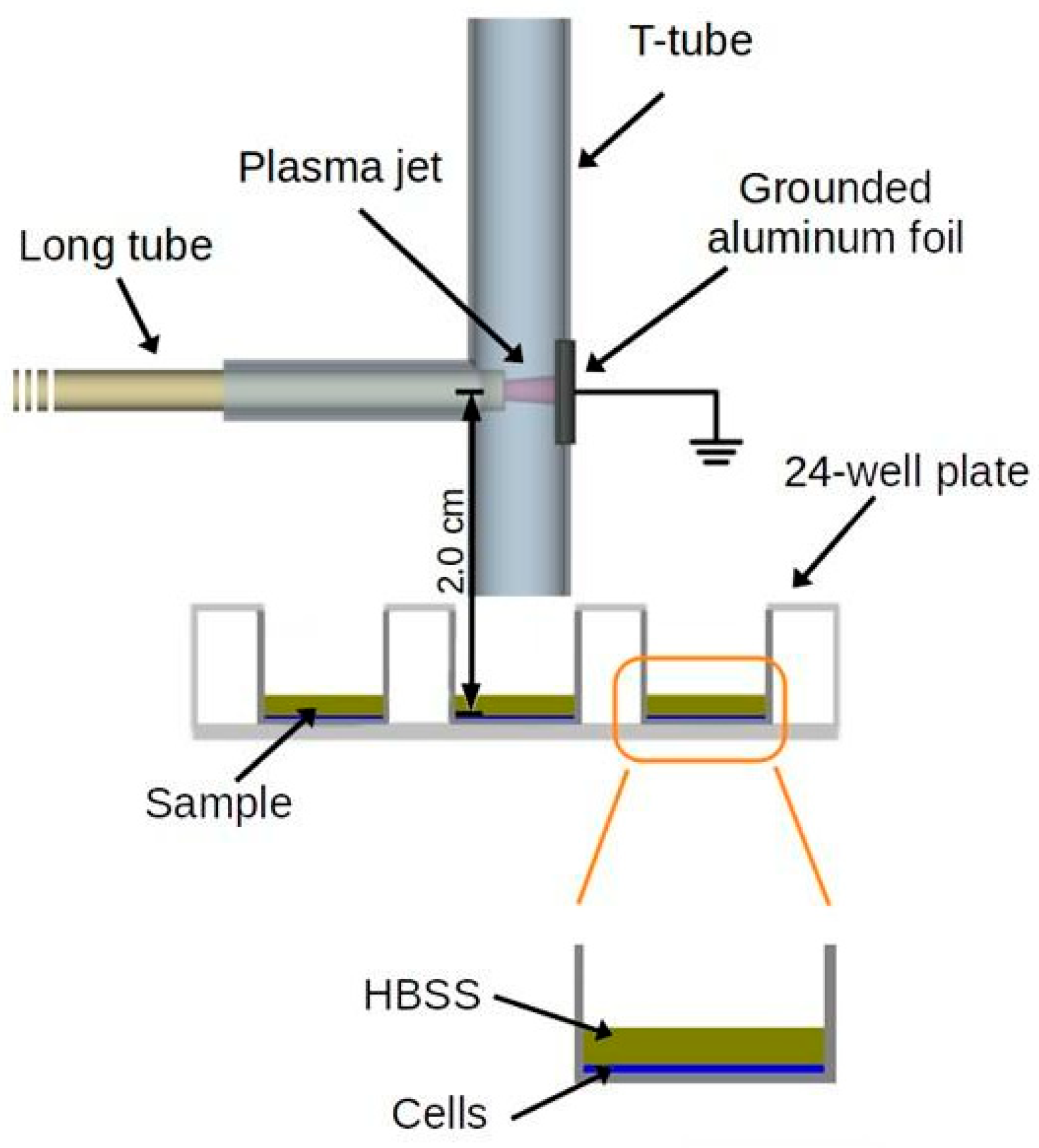 Microorganisms 12 00130 g003