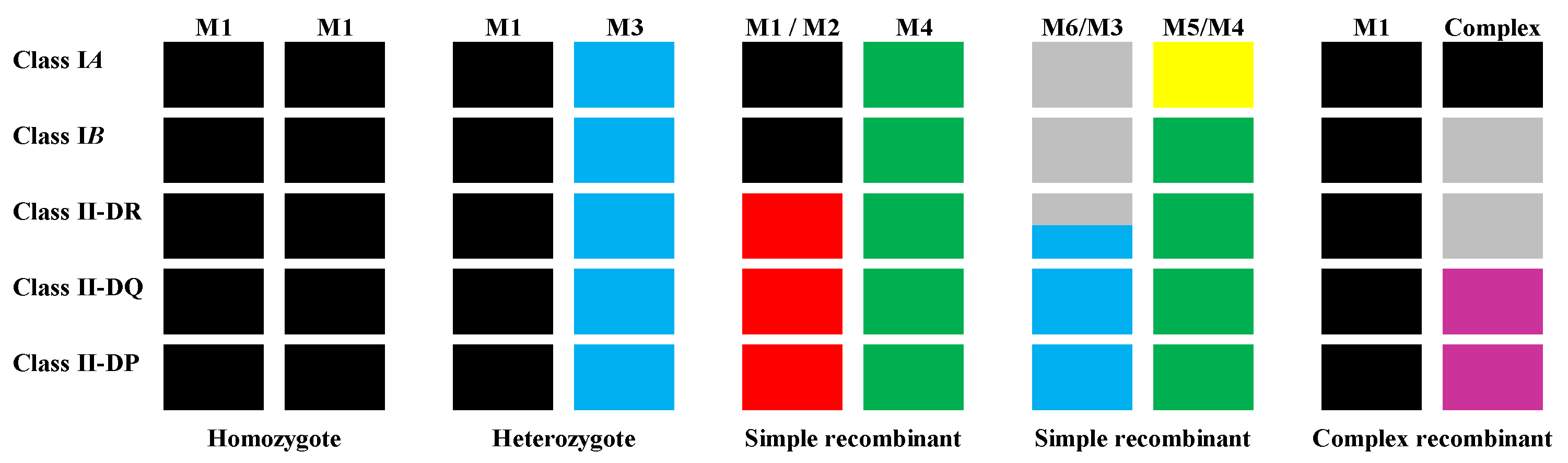 Microorganisms 12 00155 g001