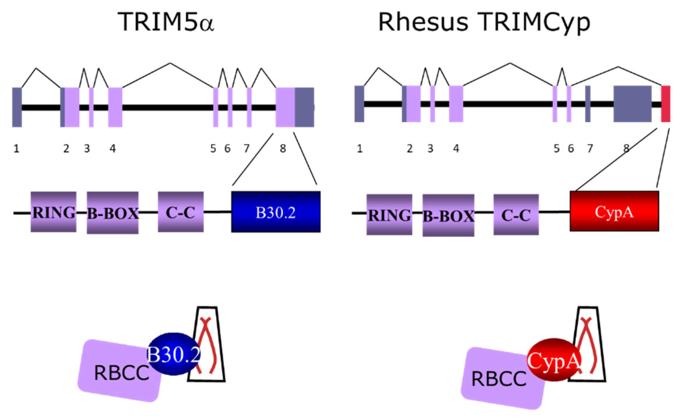 Microorganisms 12 00155 g002