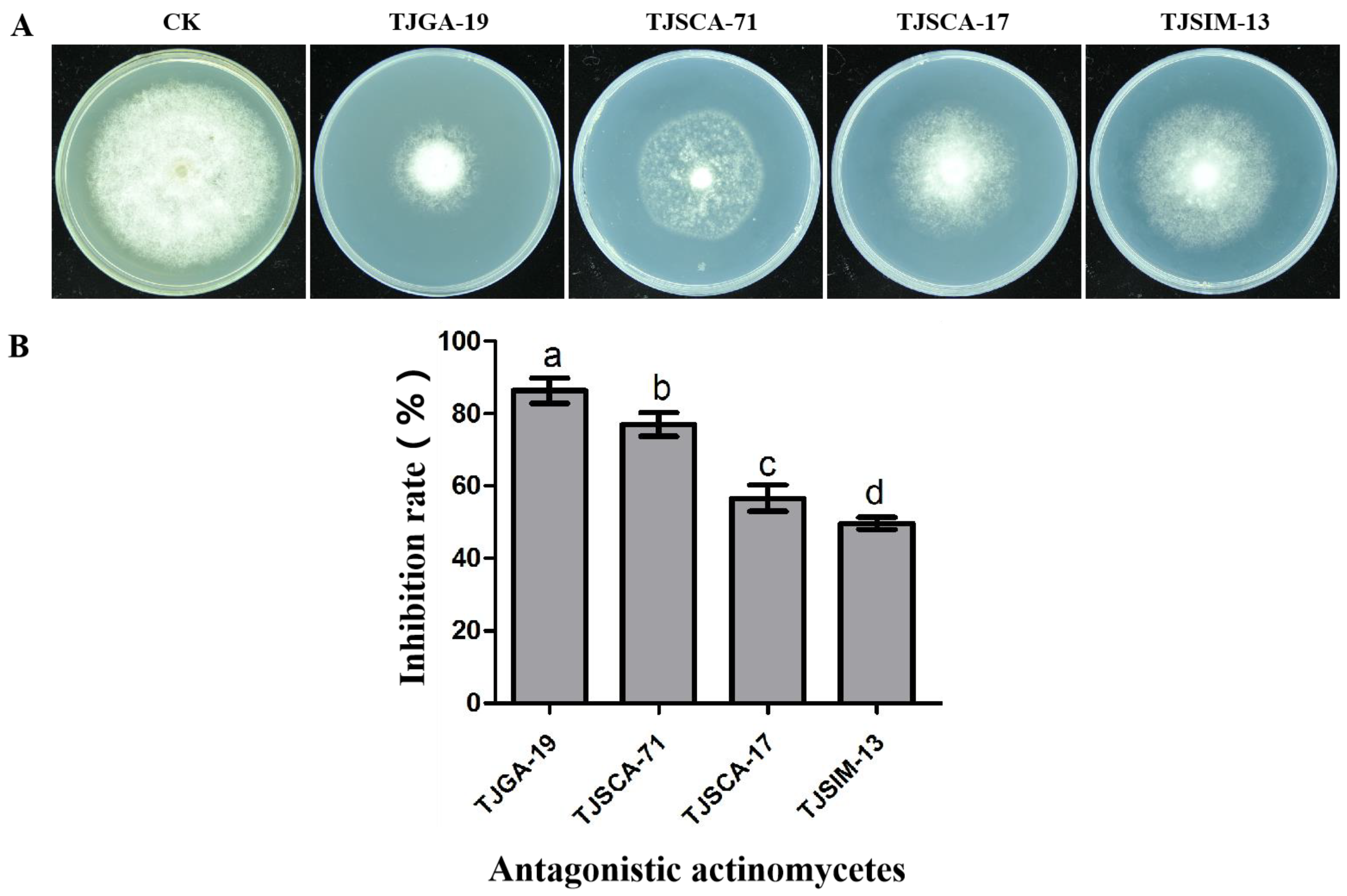 Microorganisms 12 00184 g001