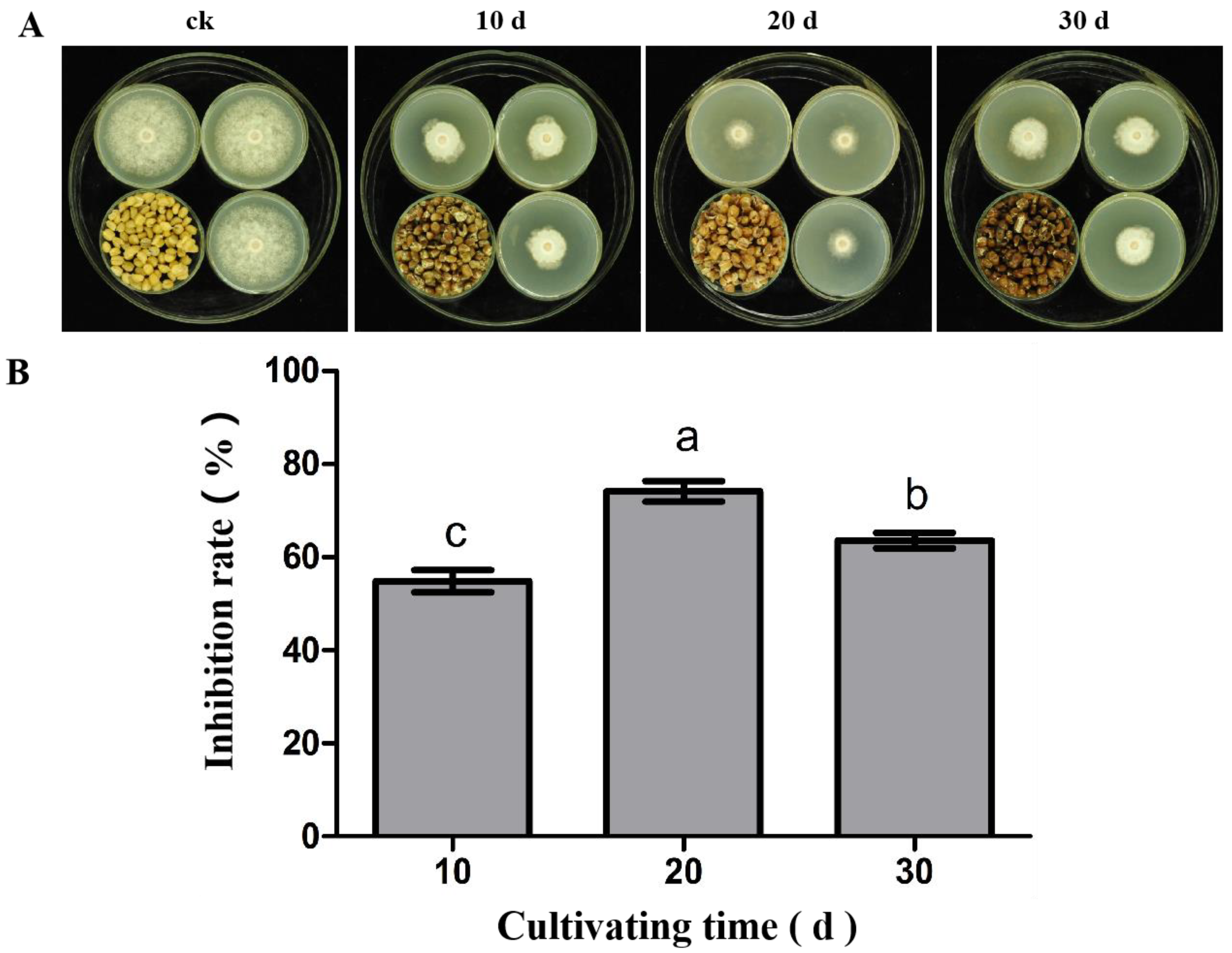 Microorganisms 12 00184 g002