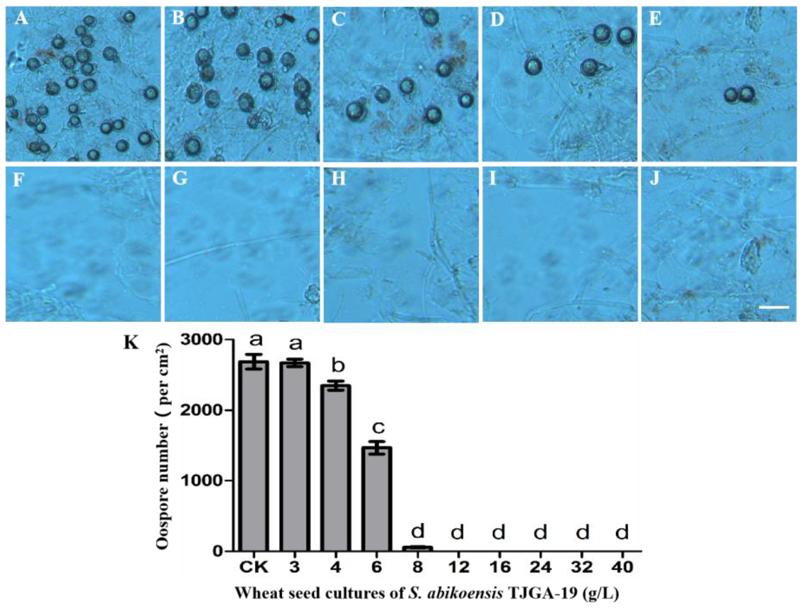 Microorganisms 12 00184 g004