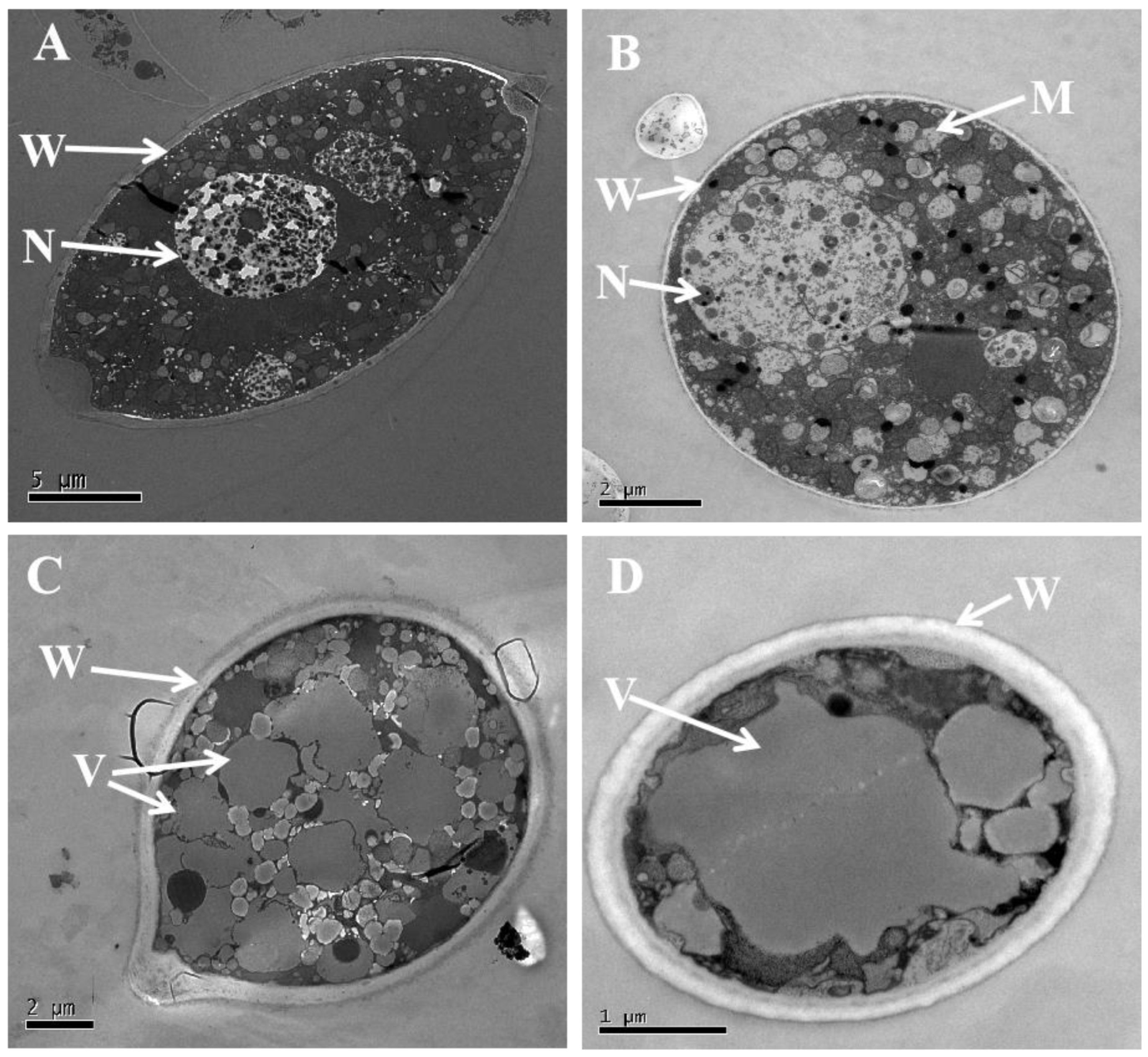 Microorganisms 12 00184 g006