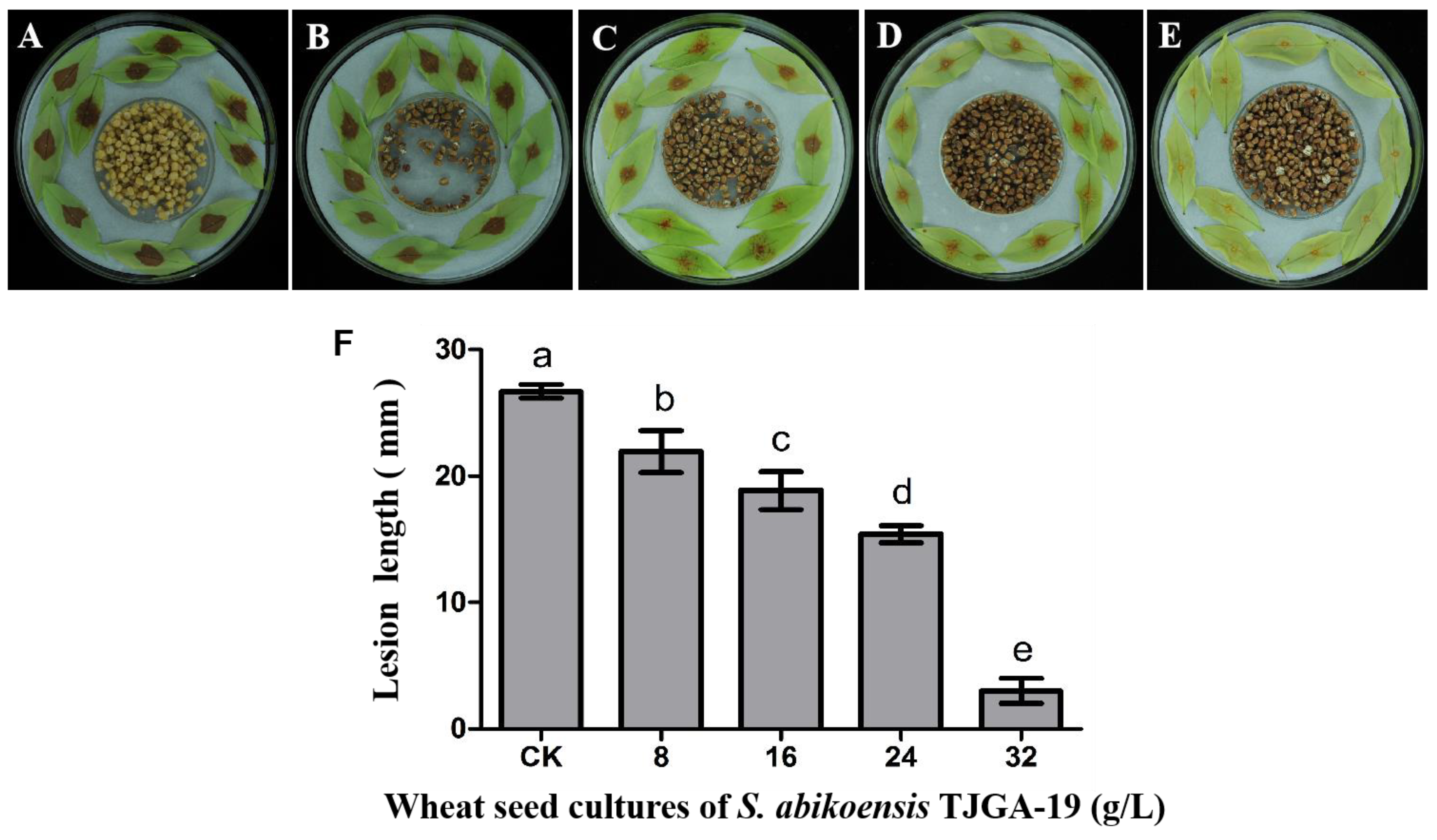 Microorganisms 12 00184 g007
