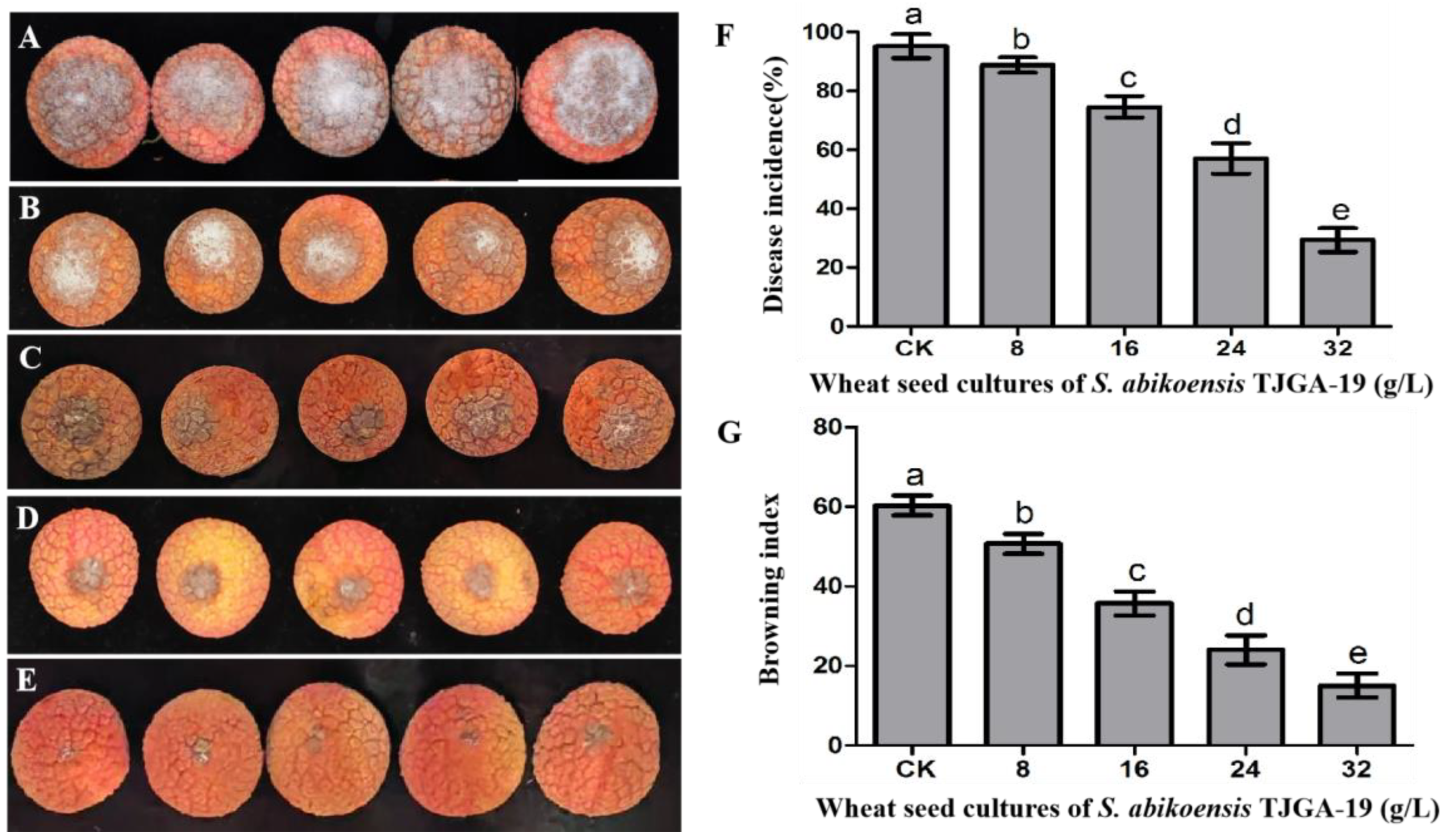Microorganisms 12 00184 g008