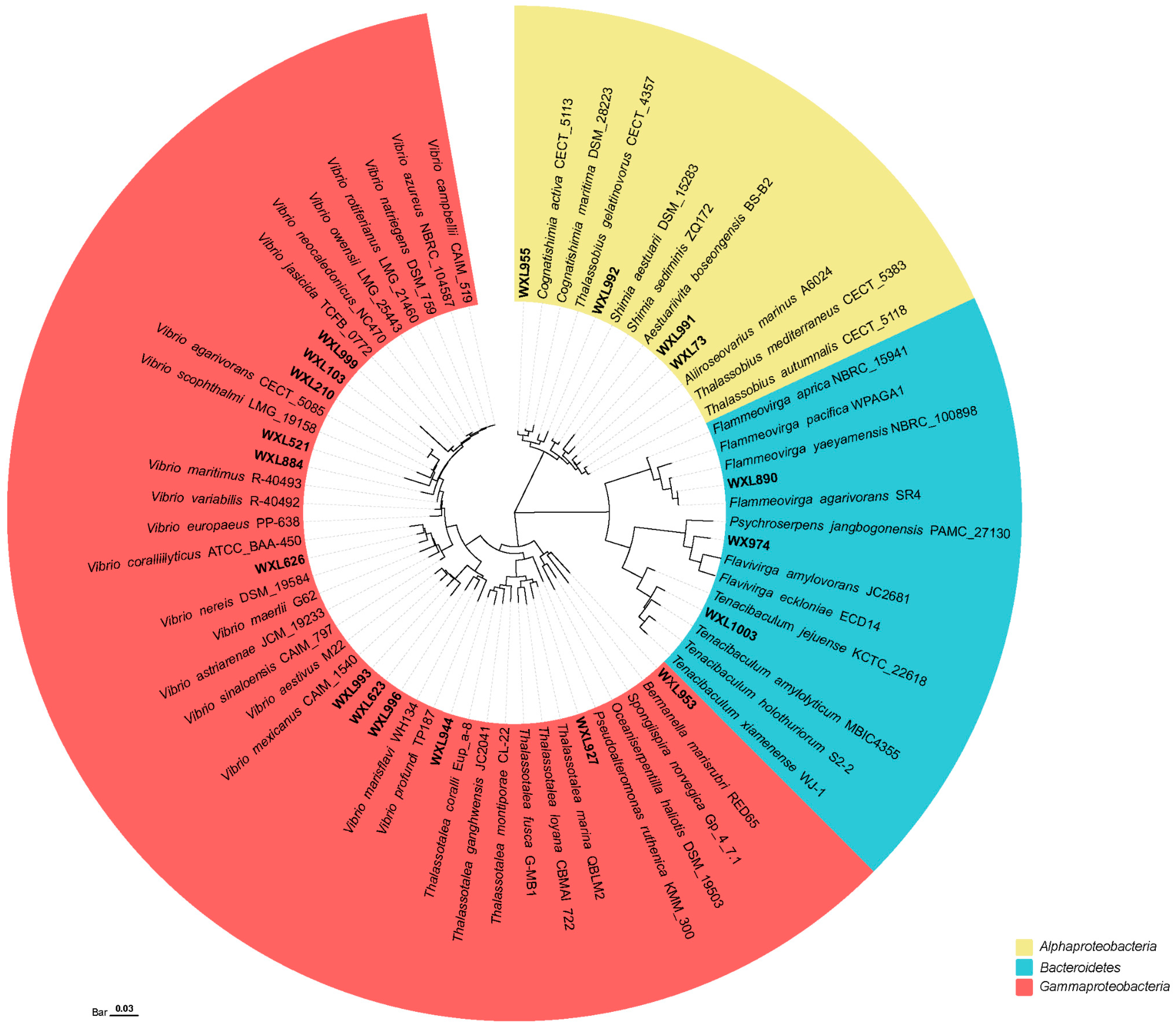 Microorganisms 12 00187 g005 Microorganisms 12 00187 g005