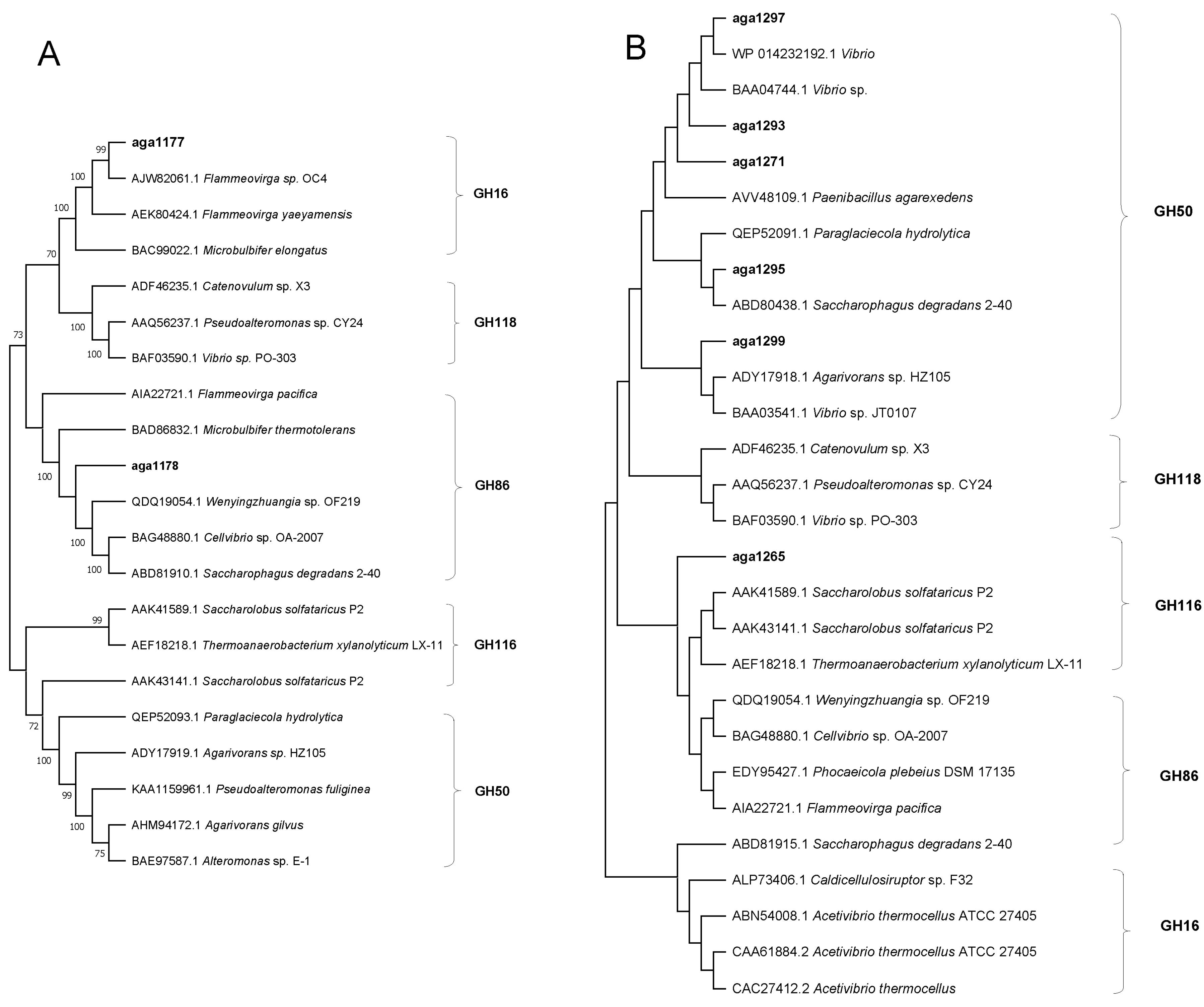 Microorganisms 12 00187 g007 Microorganisms 12 00187 g007