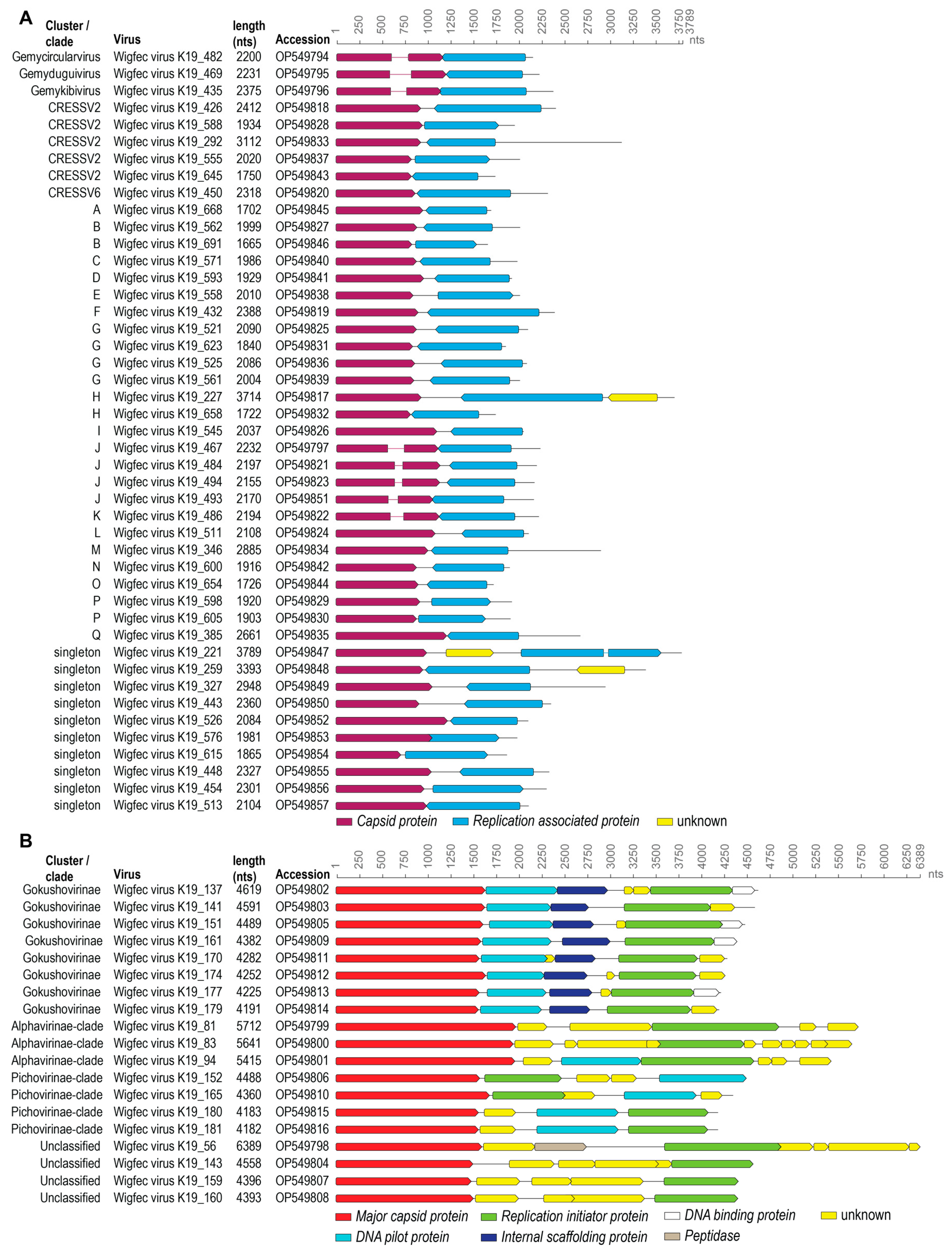 Microorganisms 12 00196 g001