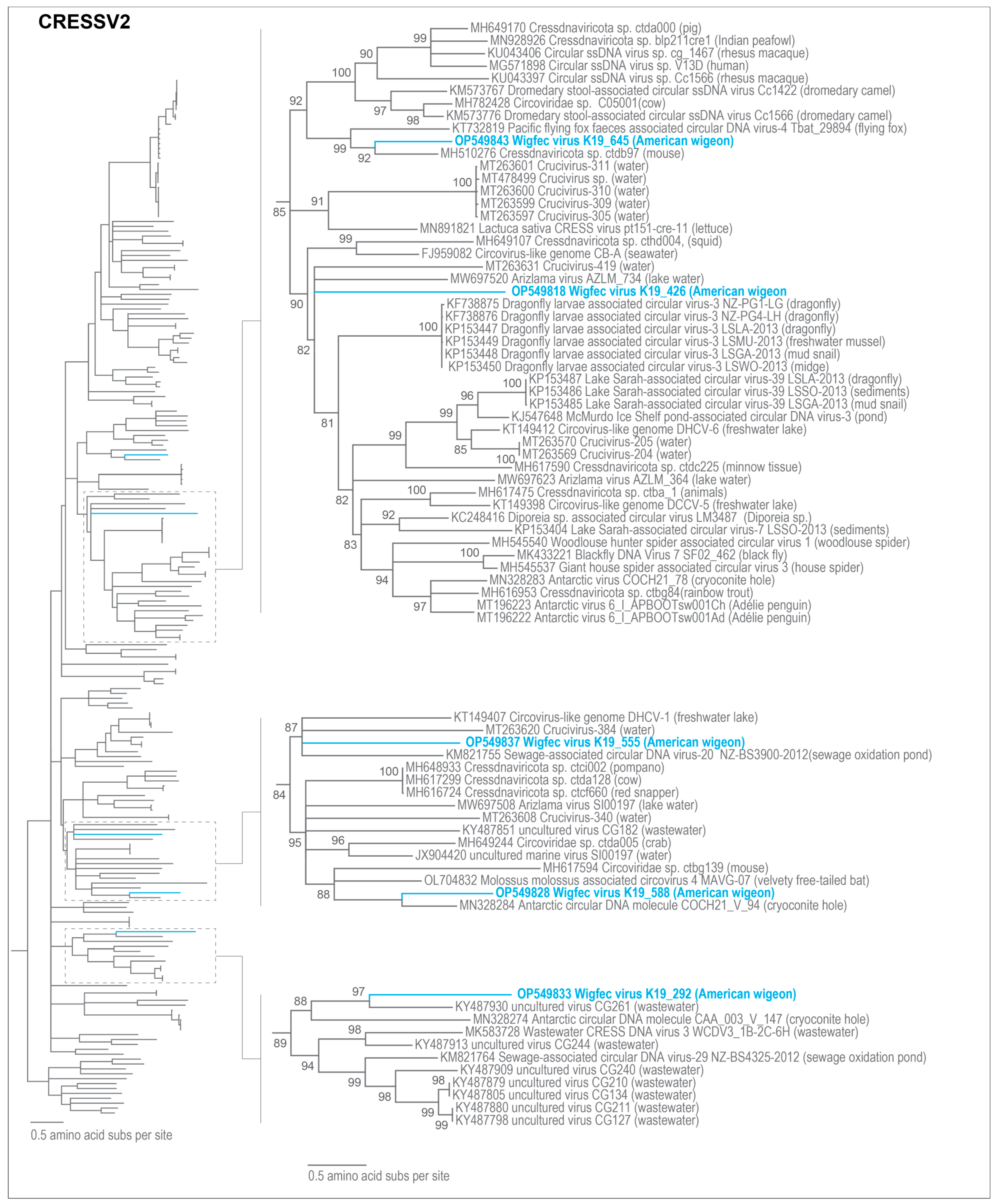 Microorganisms 12 00196 g004