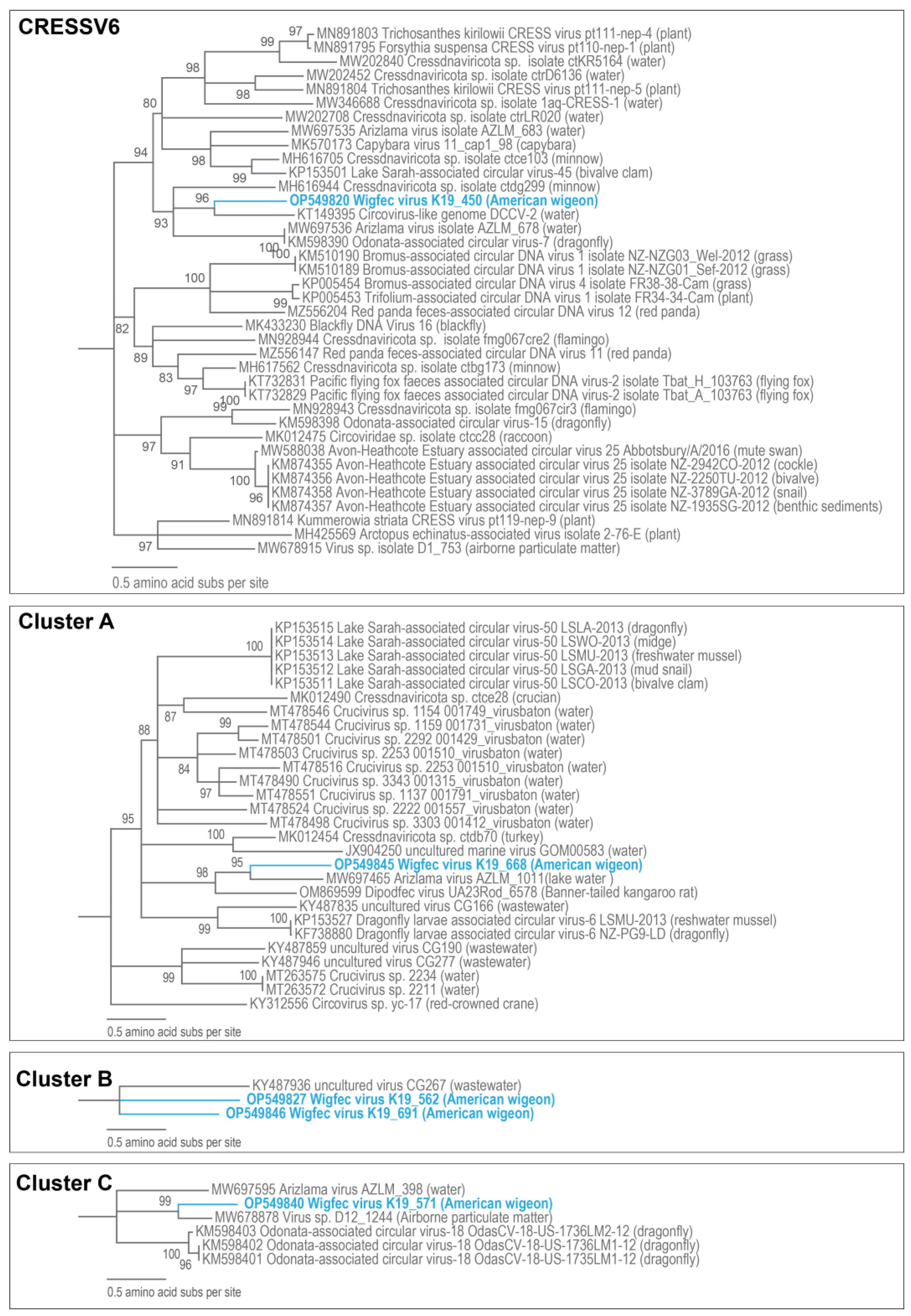 Microorganisms 12 00196 g005