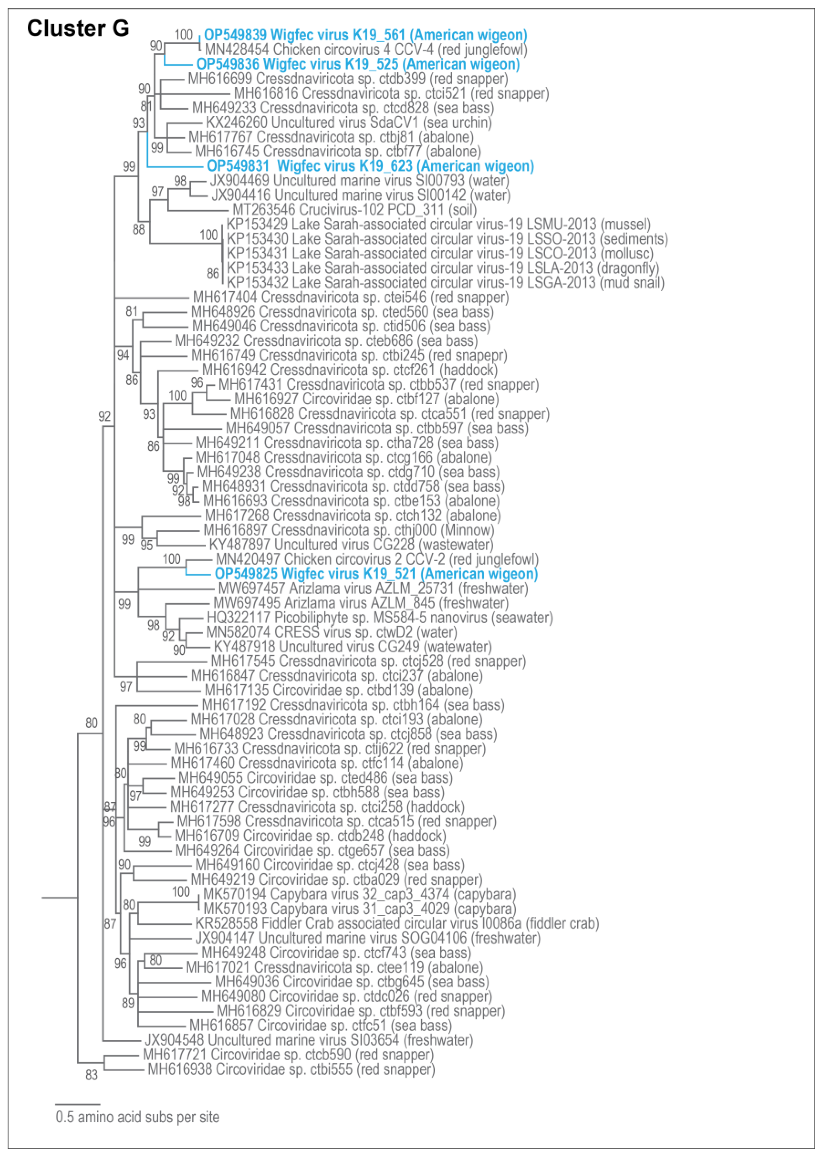 Microorganisms 12 00196 g008