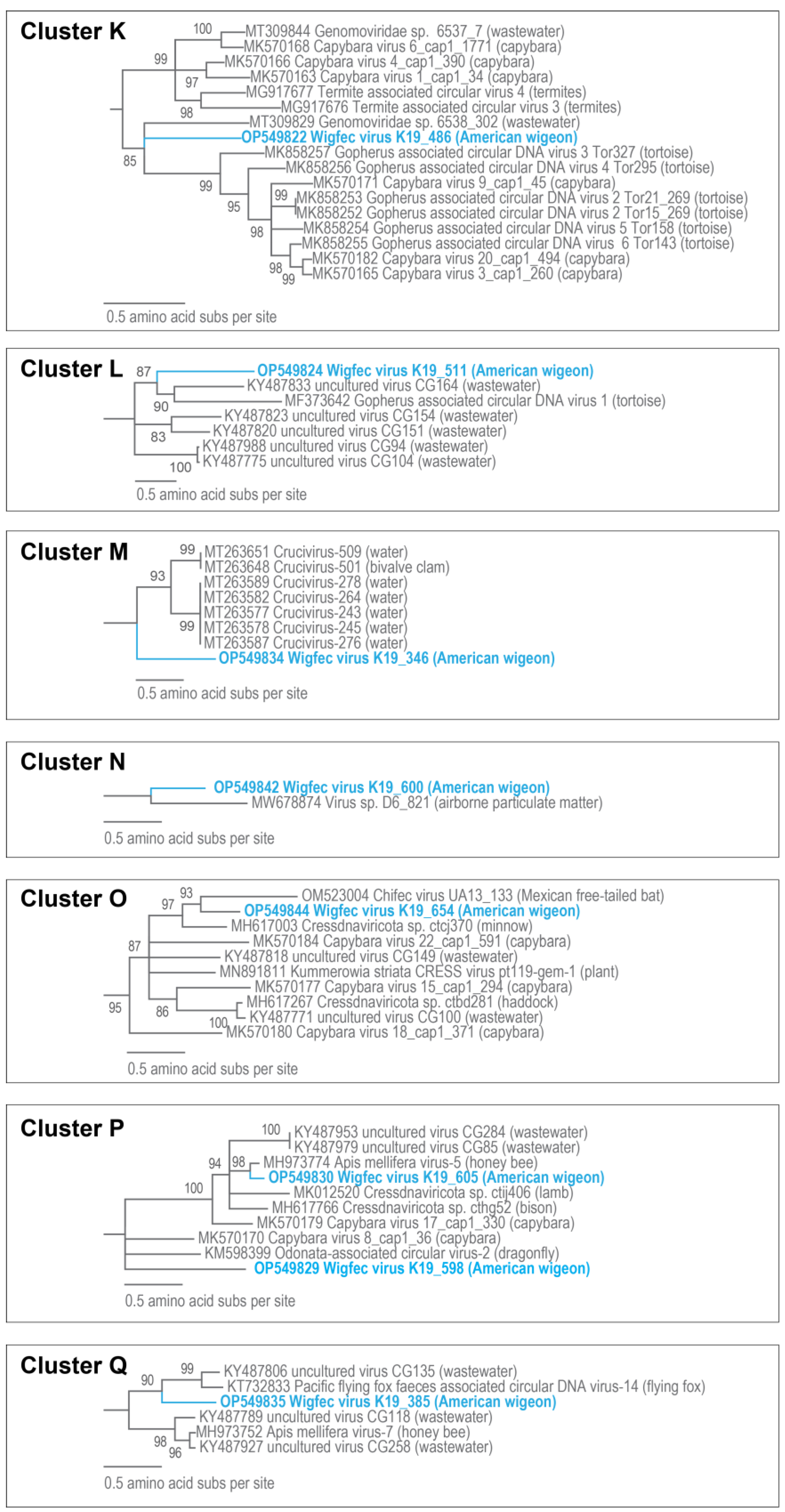 Microorganisms 12 00196 g010