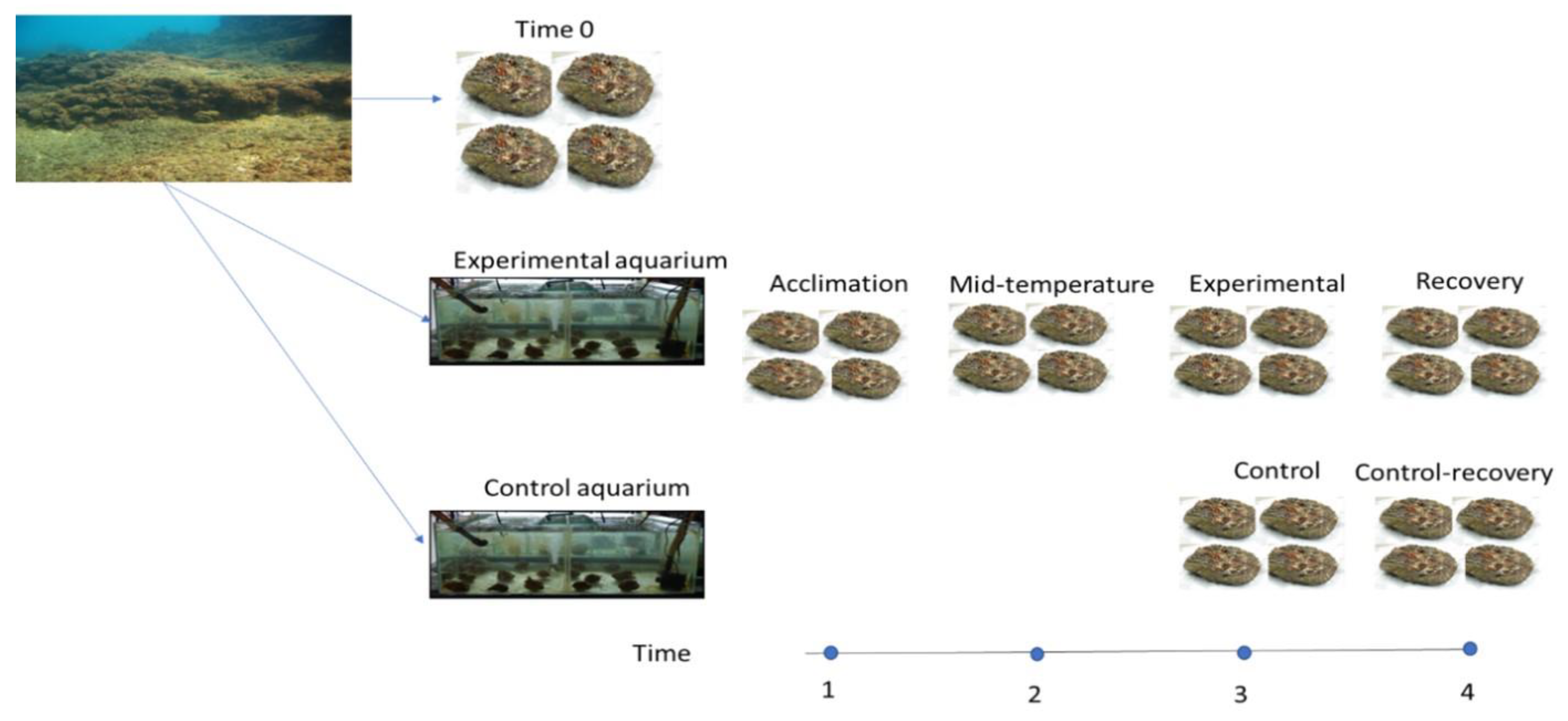 Microorganisms 12 00197 g001