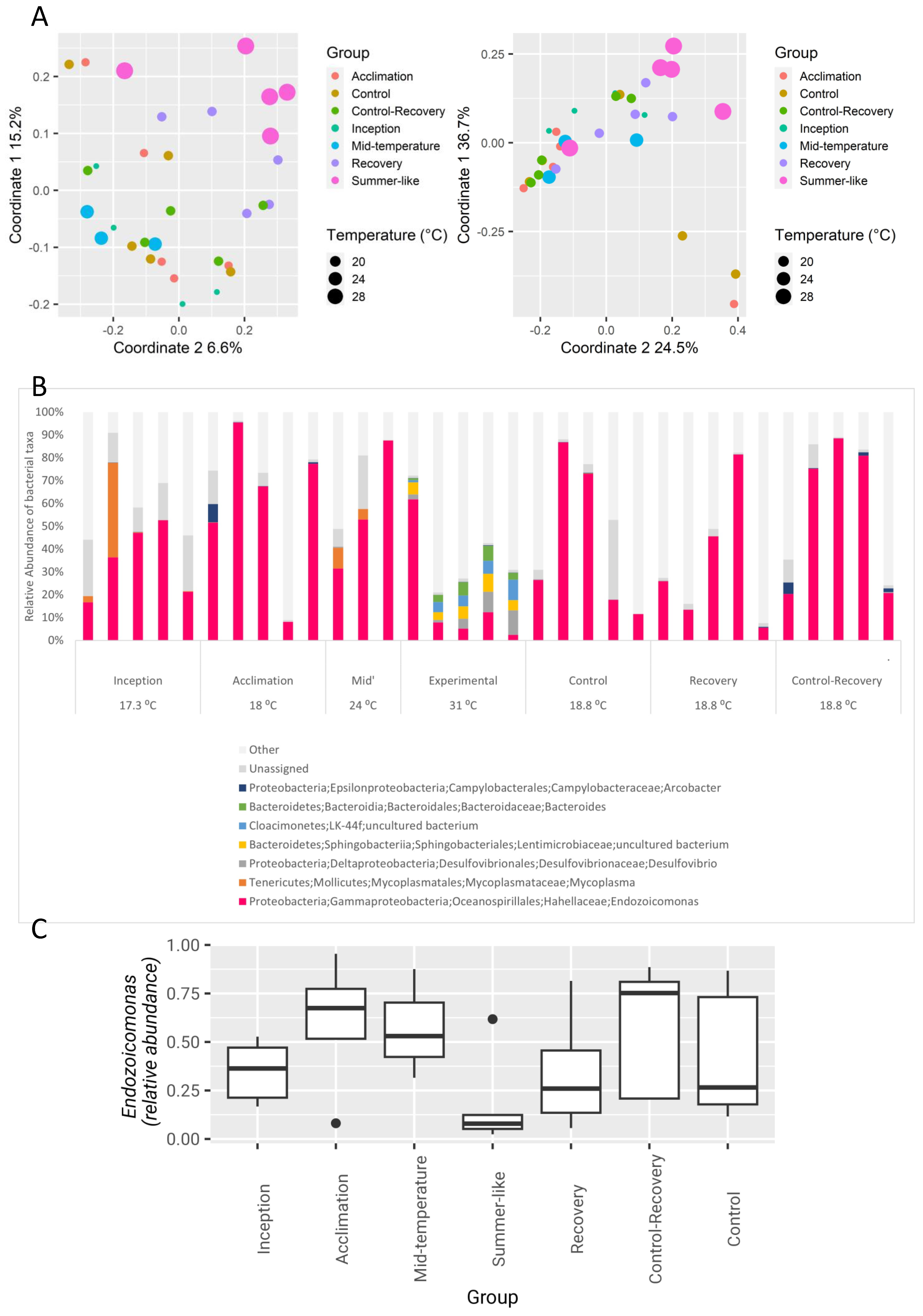 Microorganisms 12 00197 g002
