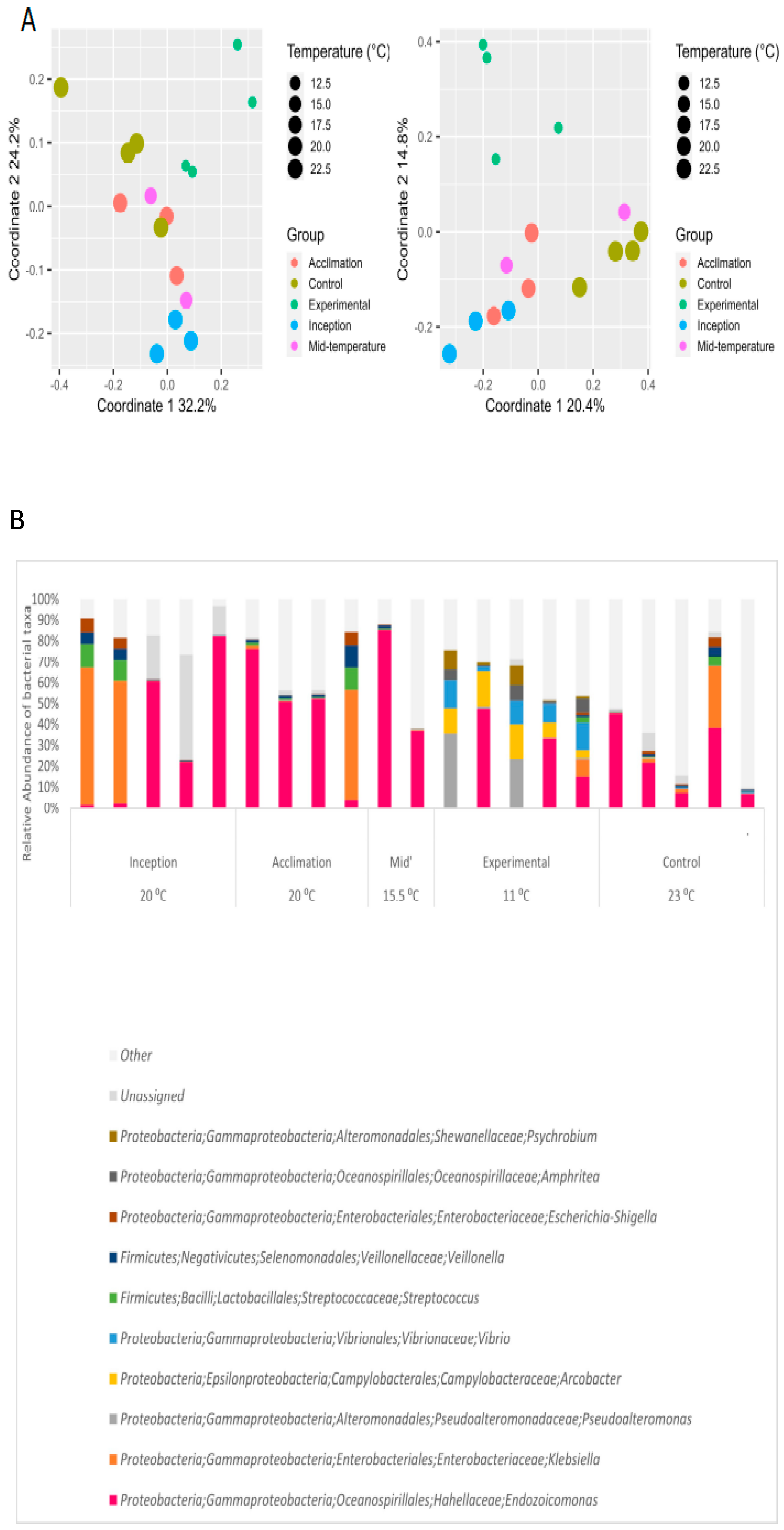 Microorganisms 12 00197 g004