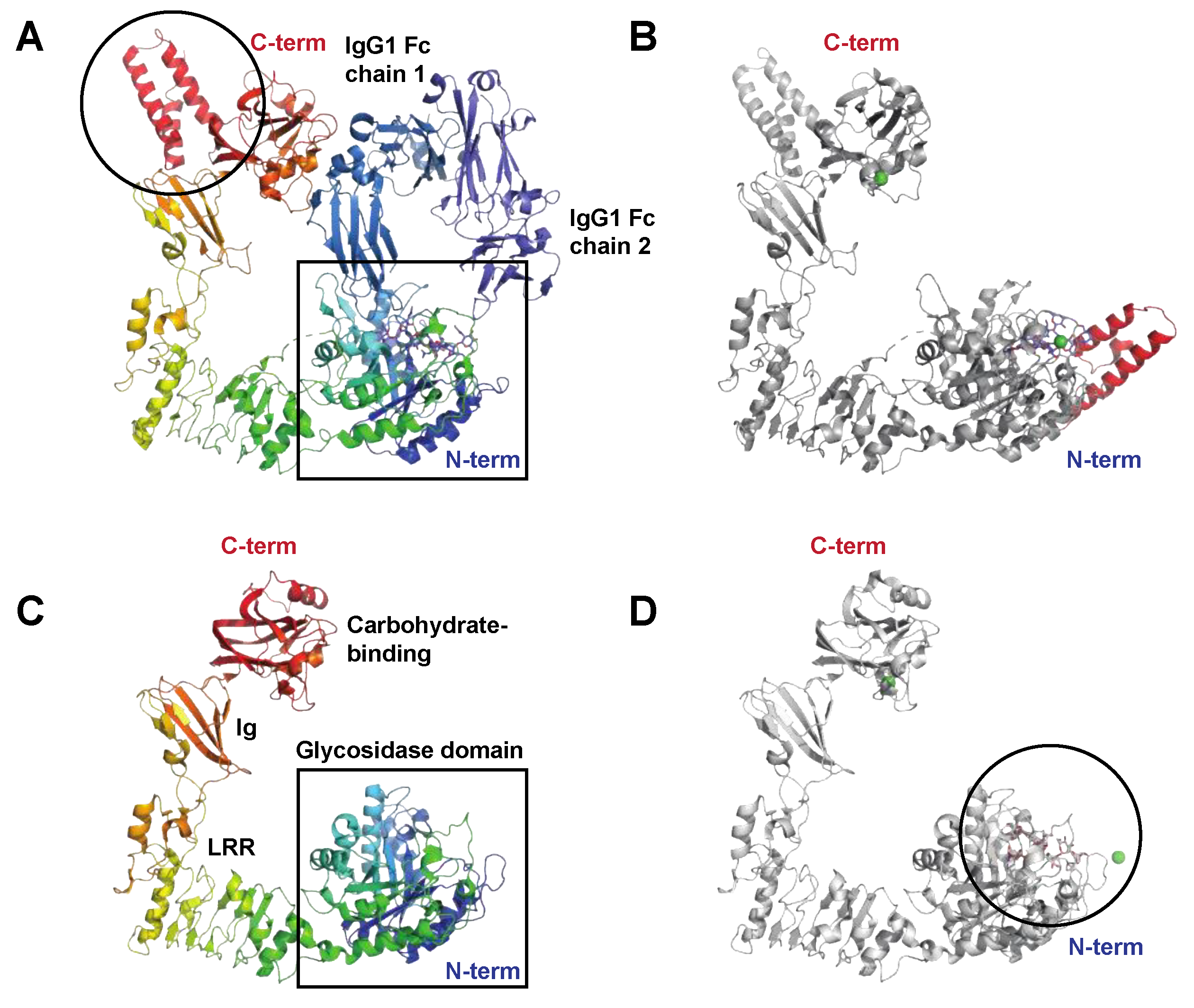 Microorganisms 12 00200 g003