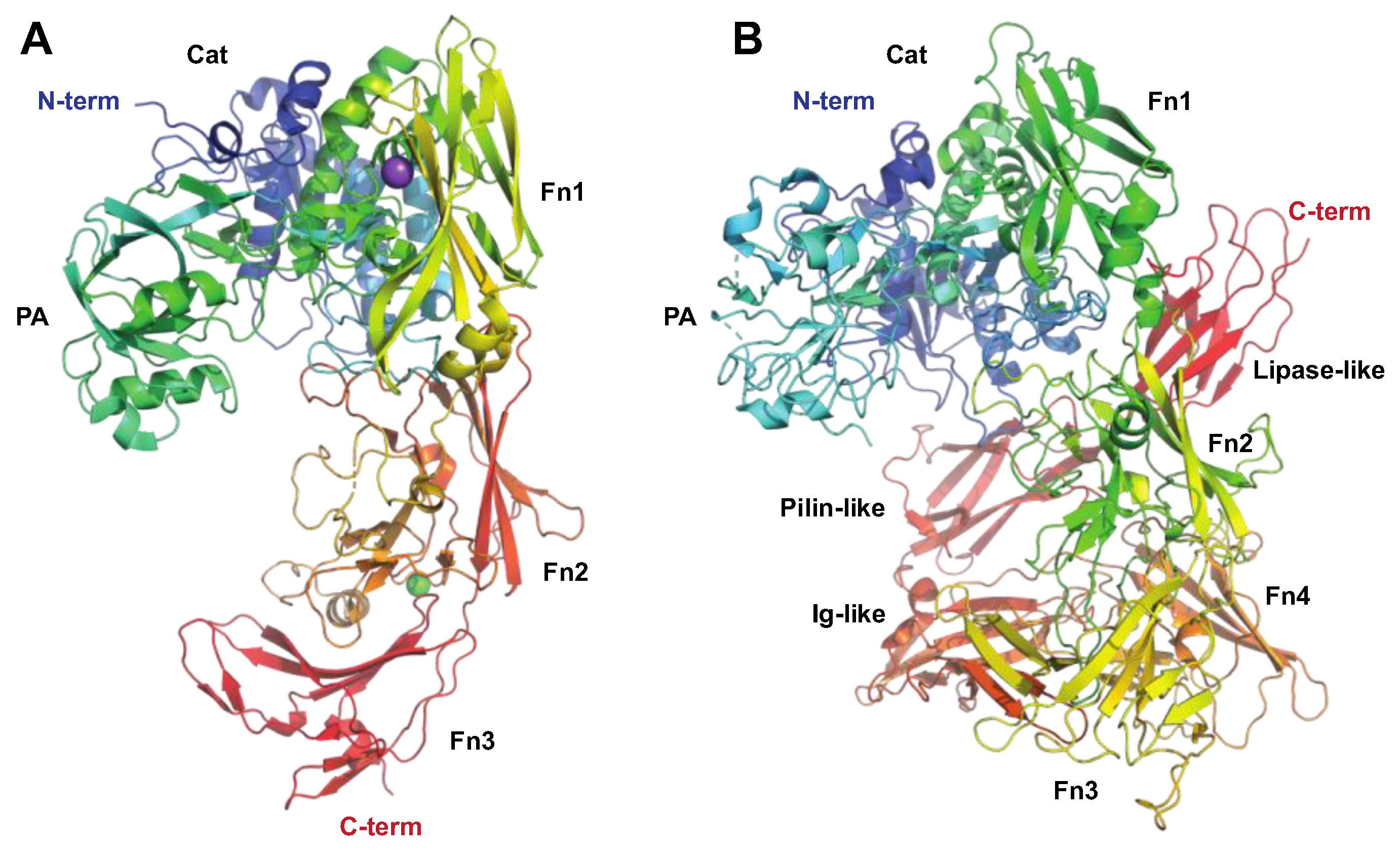 Microorganisms 12 00200 g004