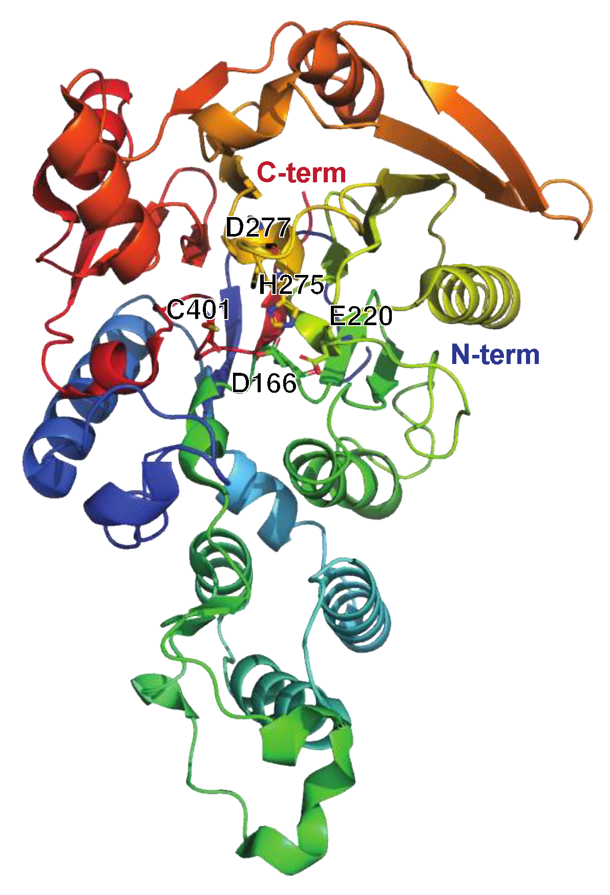 Microorganisms 12 00200 g007
