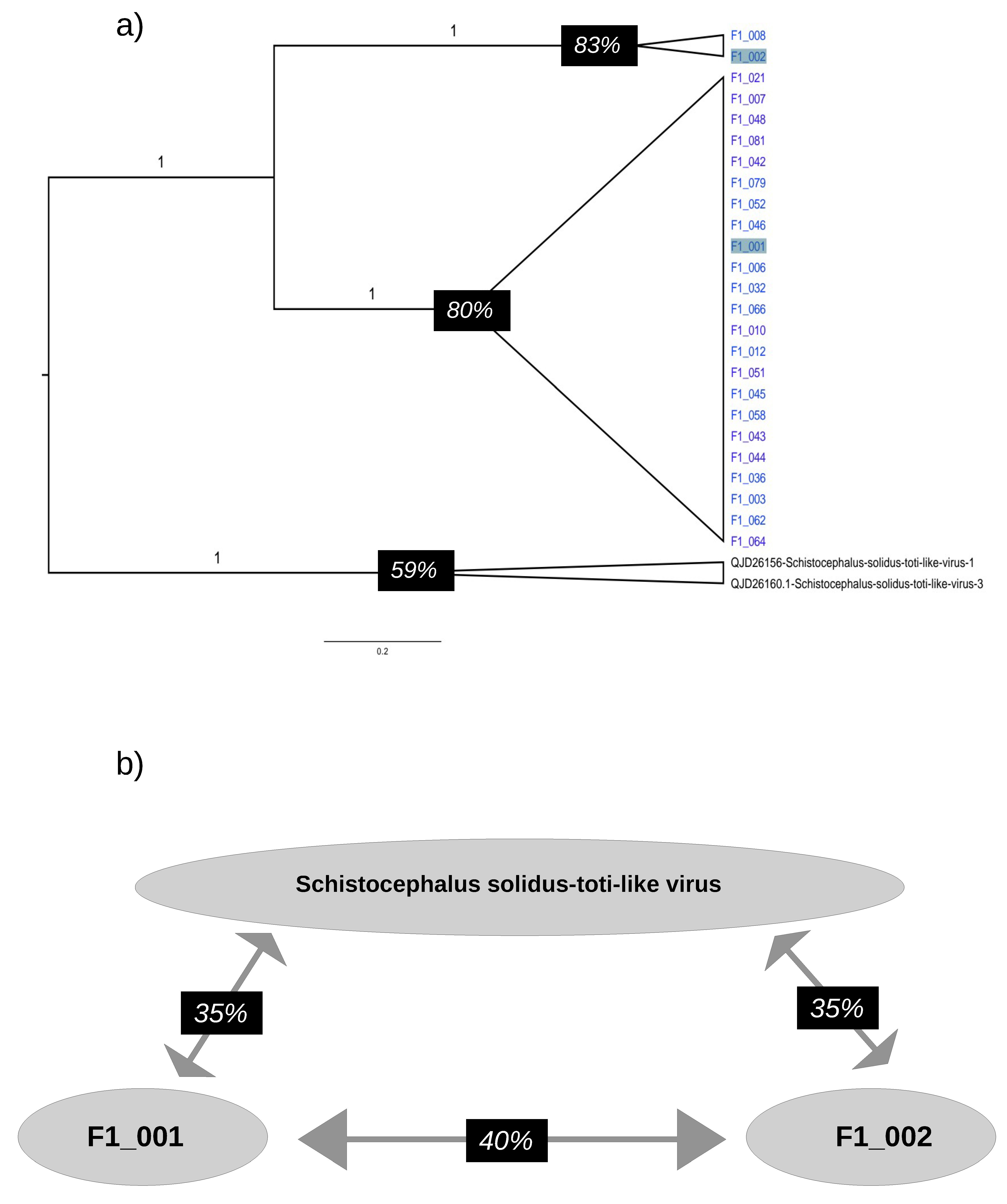 Microorganisms 12 00206 g004