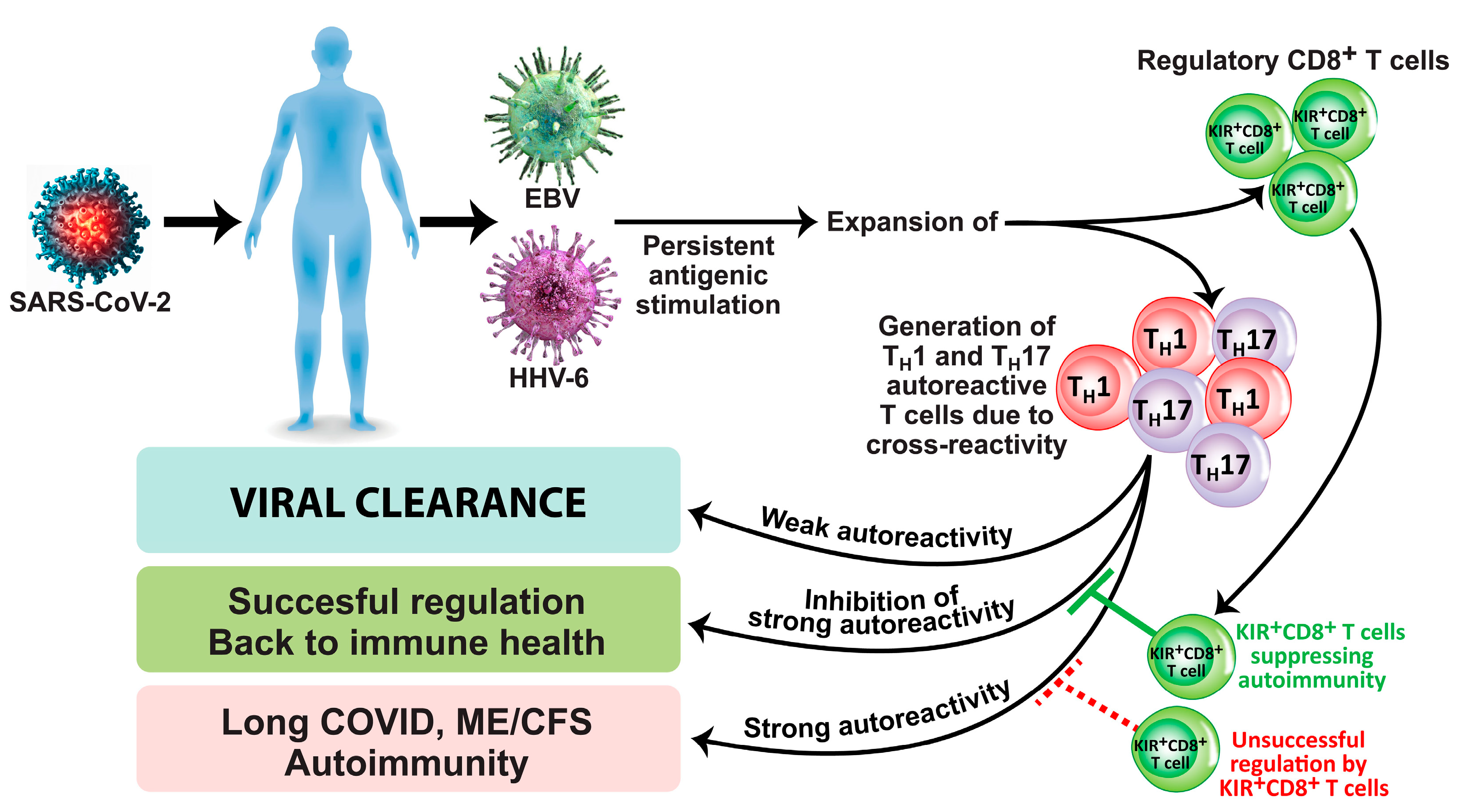 Microorganisms 12 00230 g001 Microorganisms 12 00230 g001