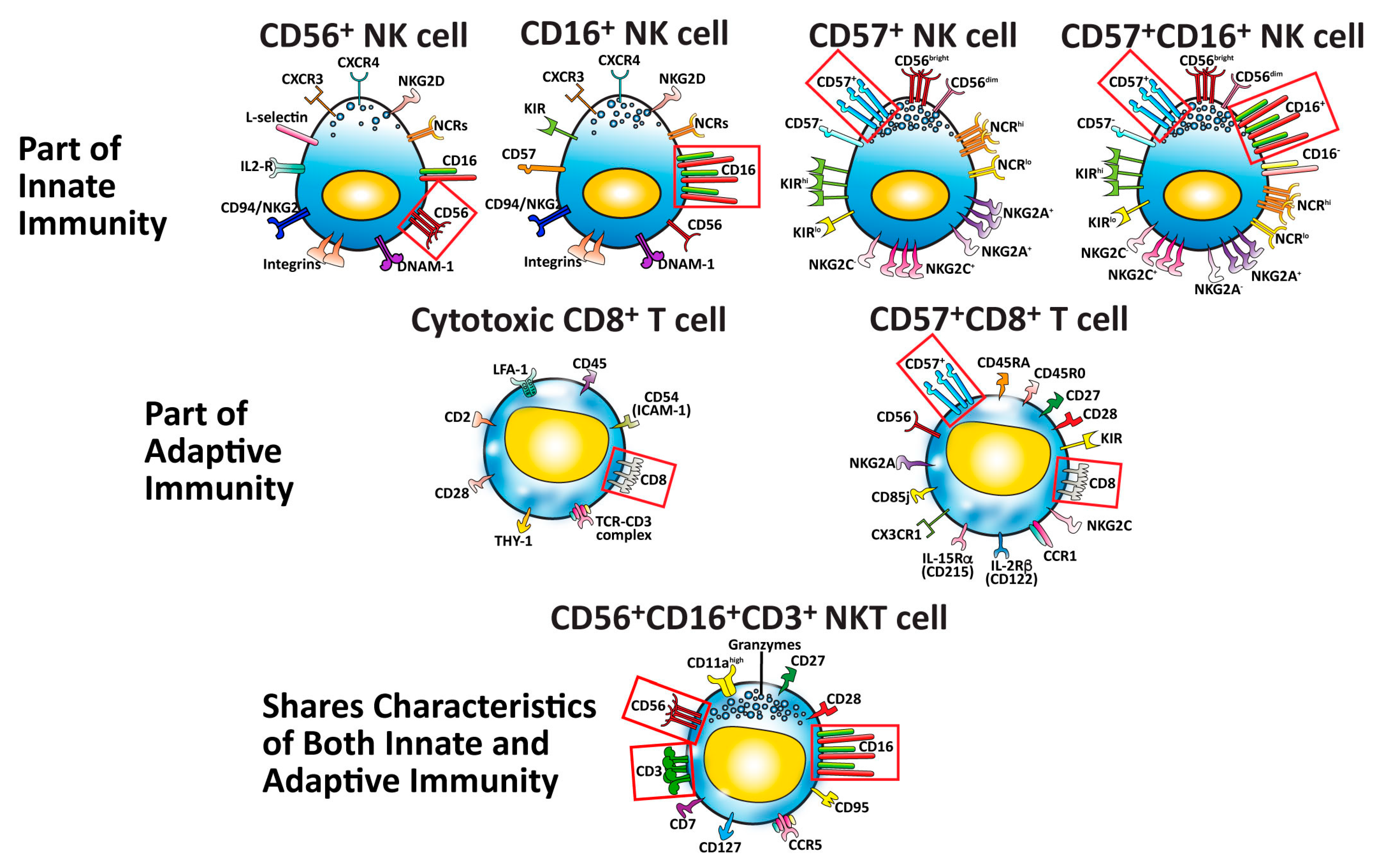 Microorganisms 12 00230 g002 Microorganisms 12 00230 g002