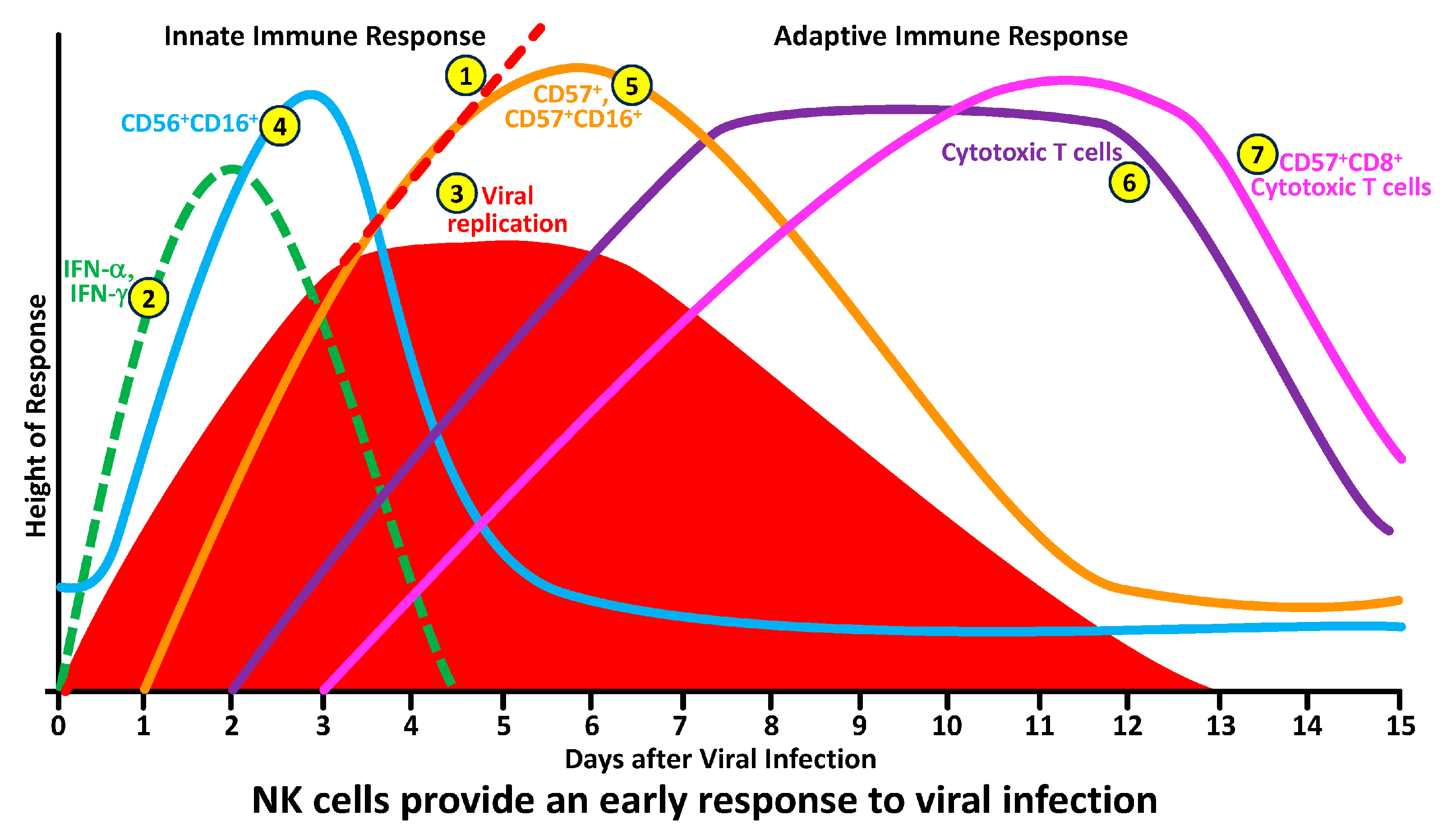 Microorganisms 12 00230 g003 Microorganisms 12 00230 g003